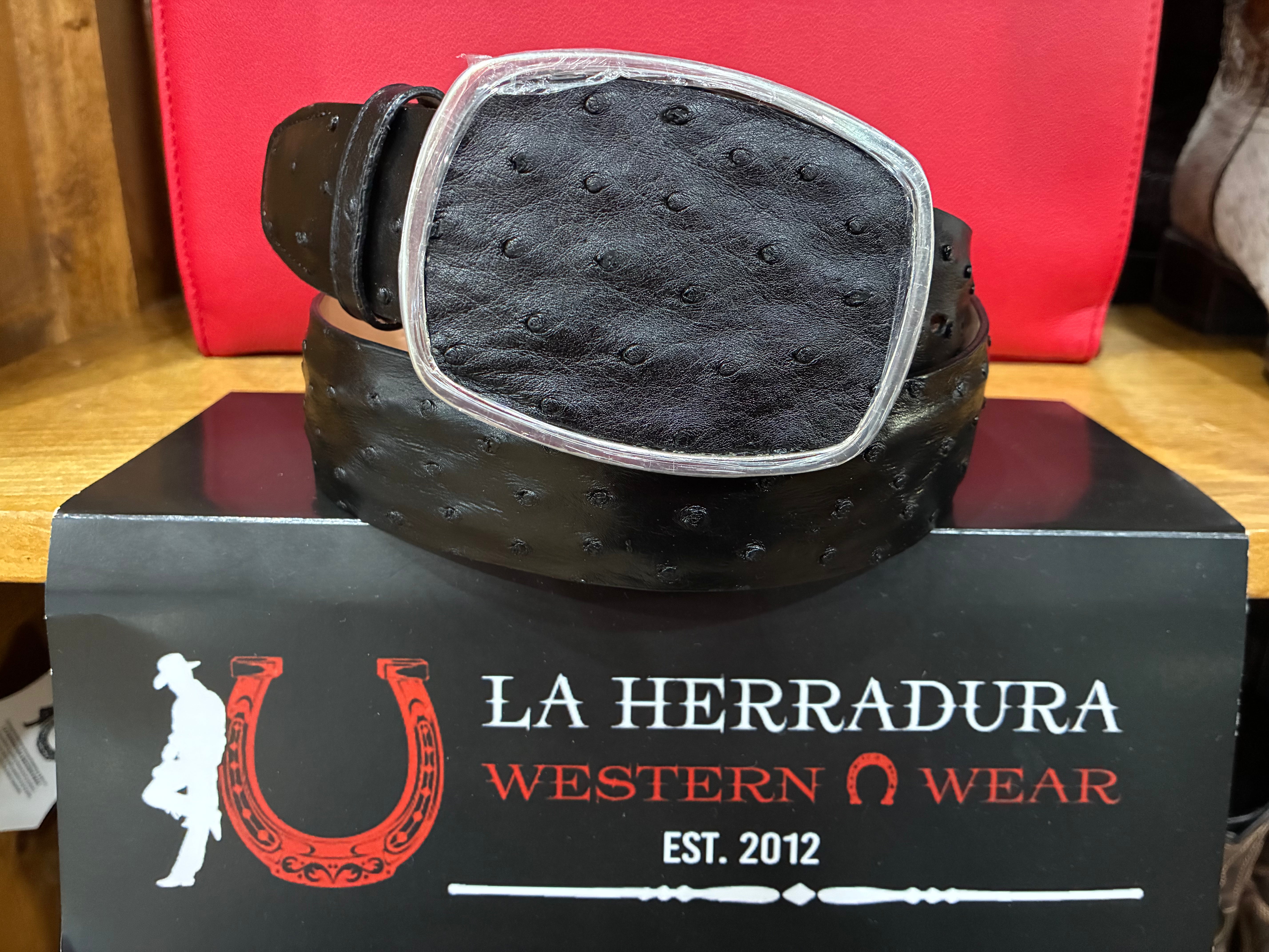 WILD WEST BOOTS / LOS ALTOS BLACK OSTRICH BELT 991018519