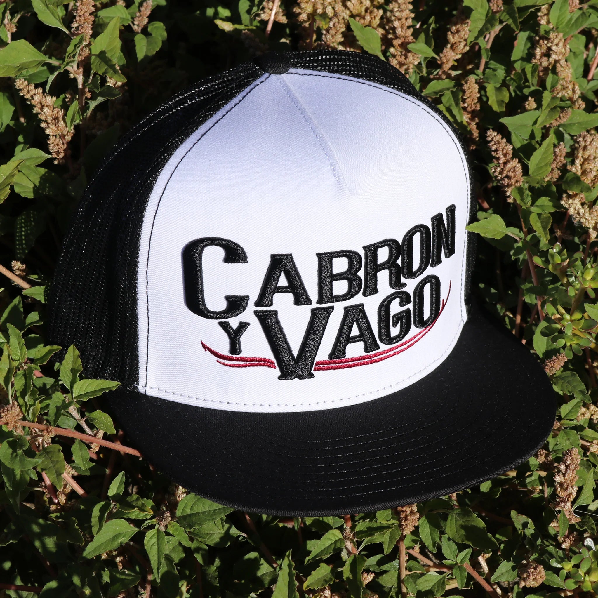 EL VIEJON BLACK CABRON Y VAGO CAP