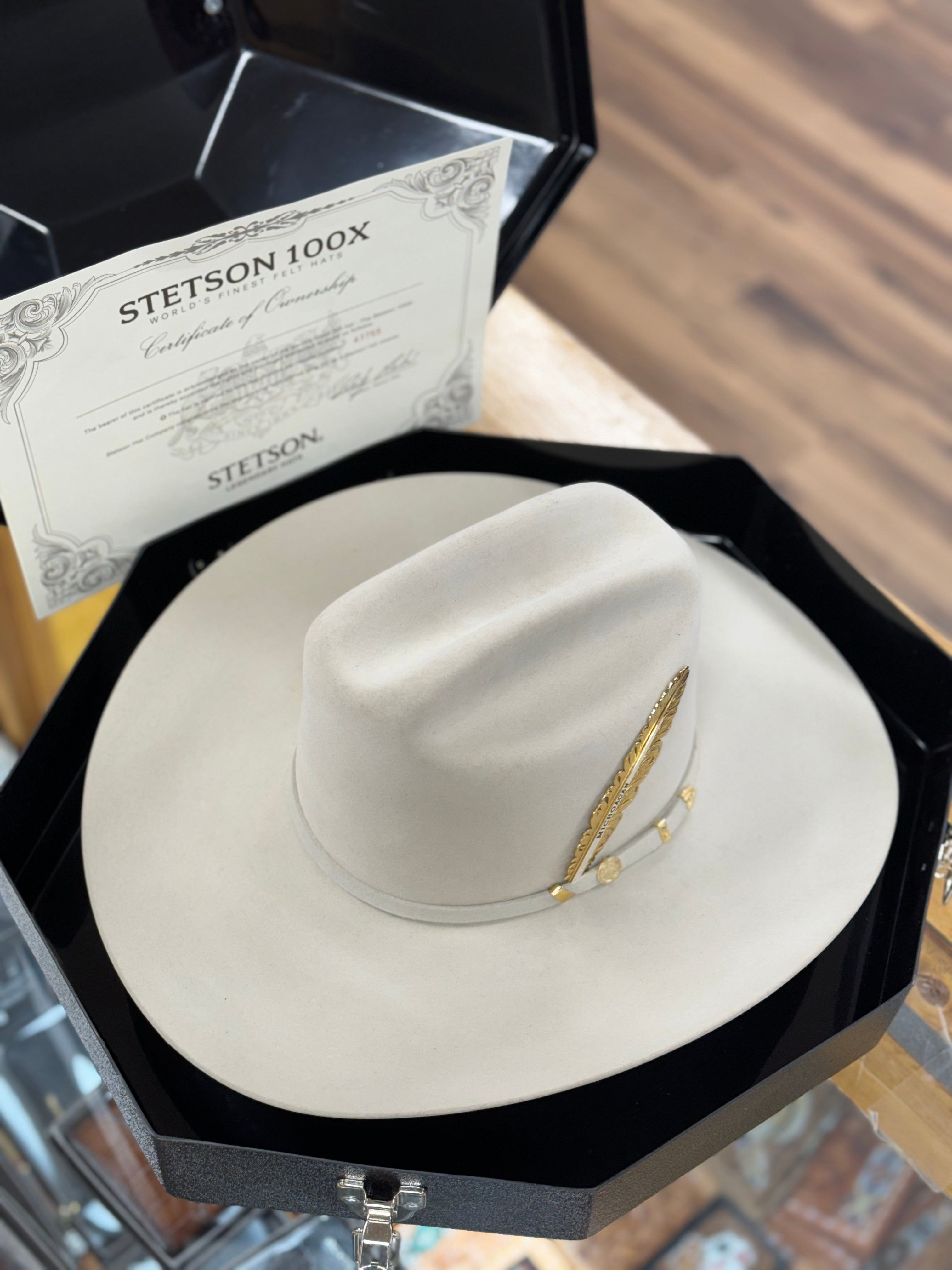 Sombrero stetson 200x online