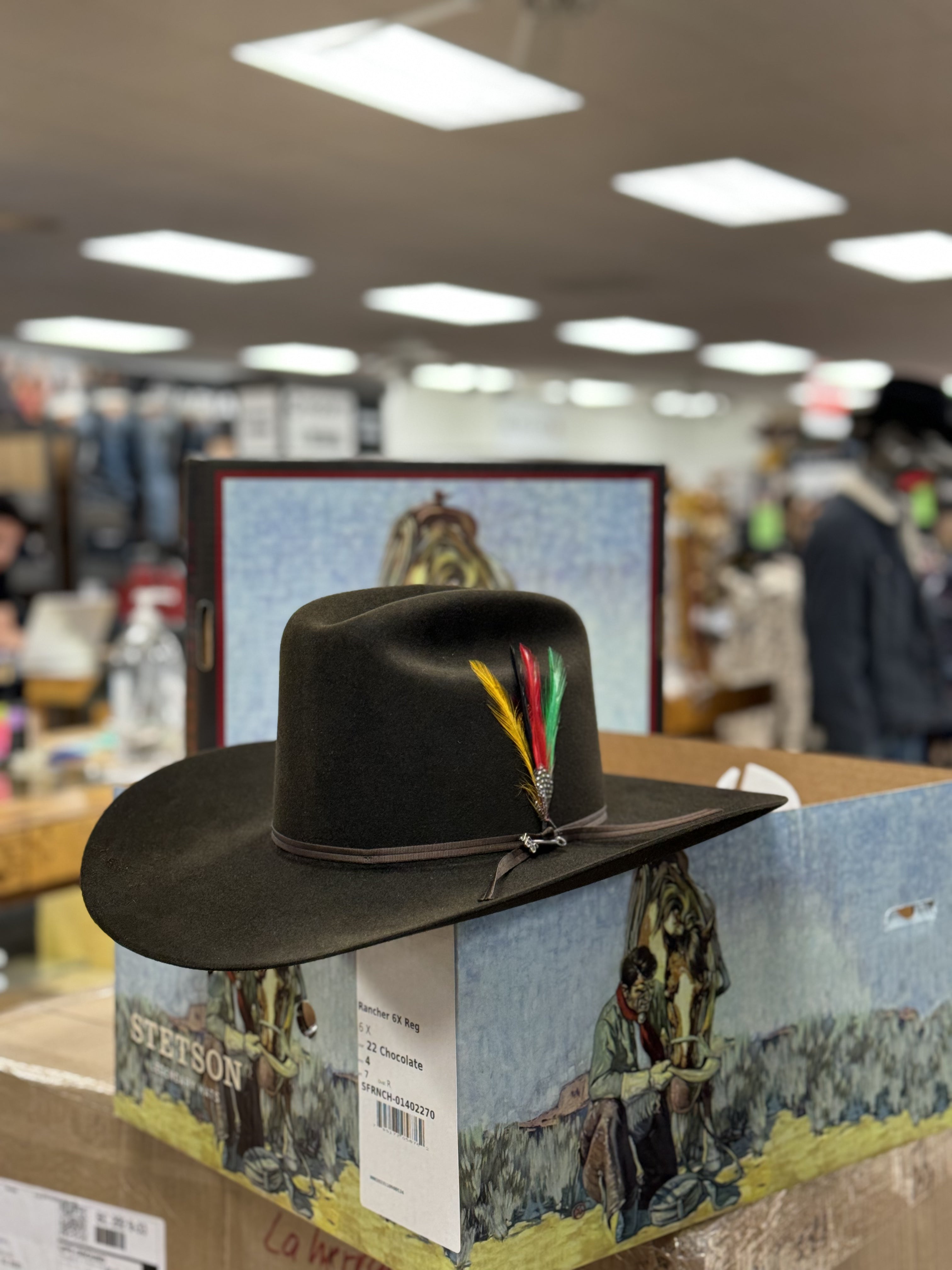 STETSON 6X SILVER BELLY TRADICIONAL