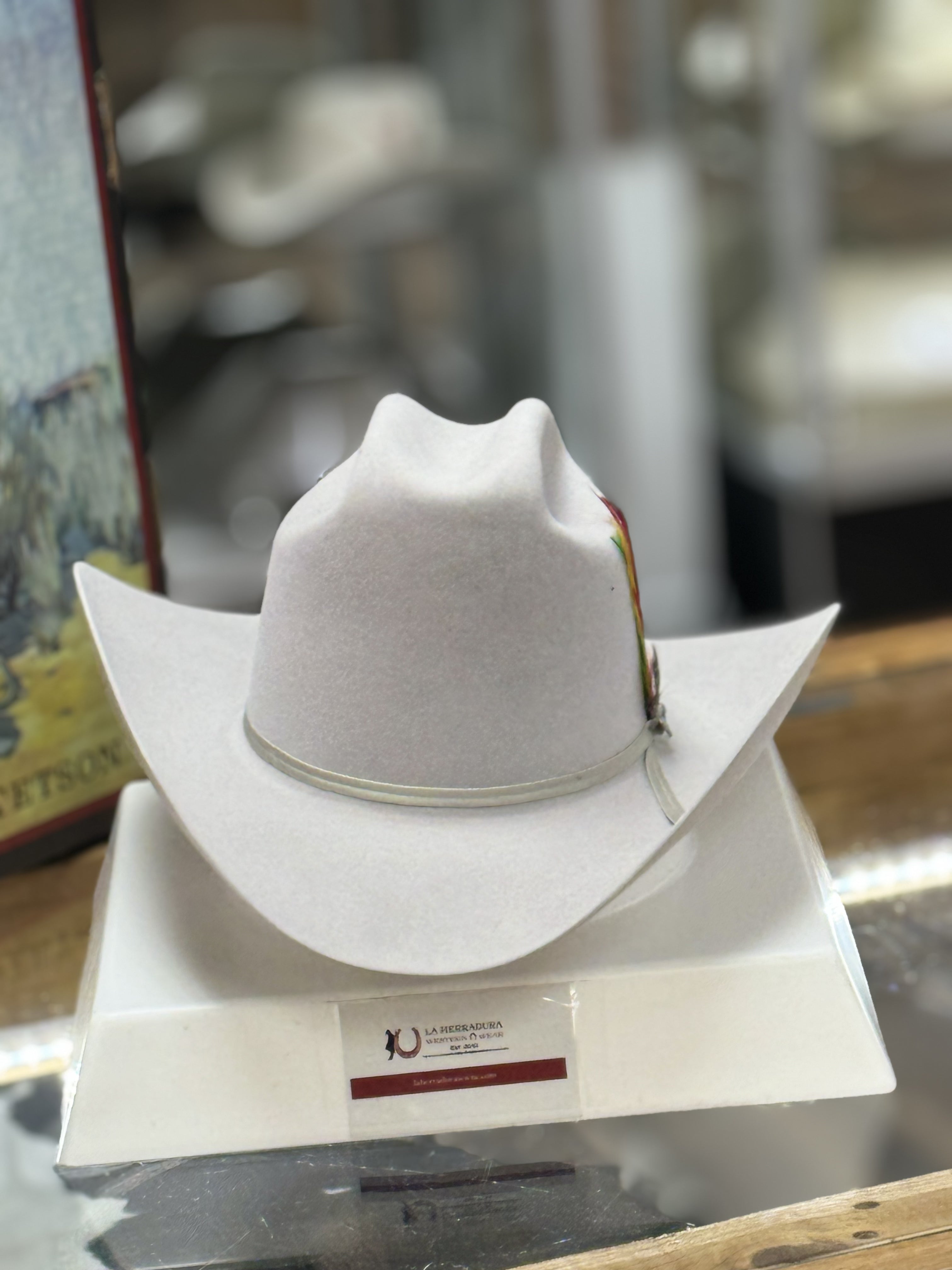 STETSON 6X SILVER BELLY TRADICIONAL