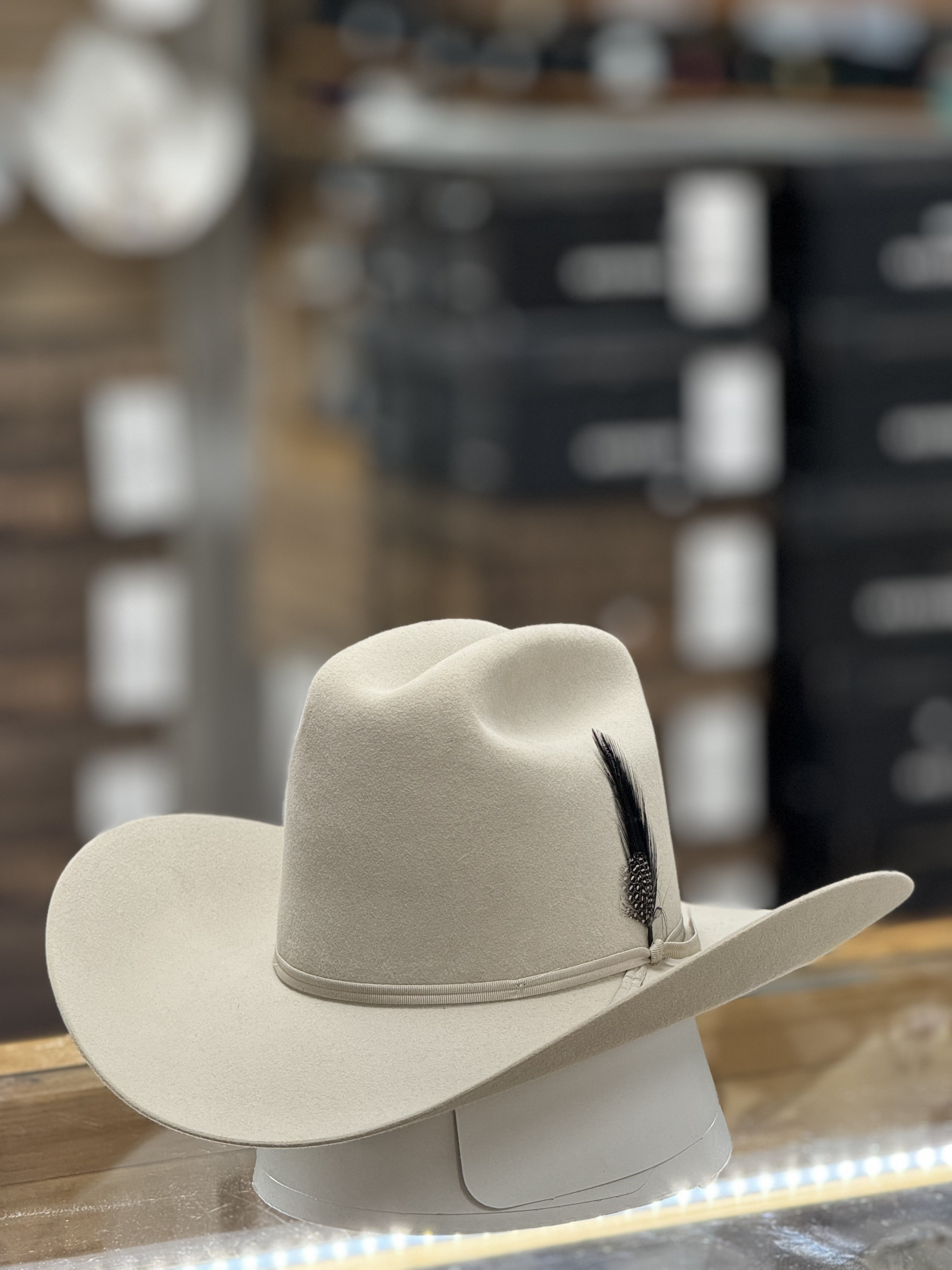 STETSON Rancher 6X Silver belly