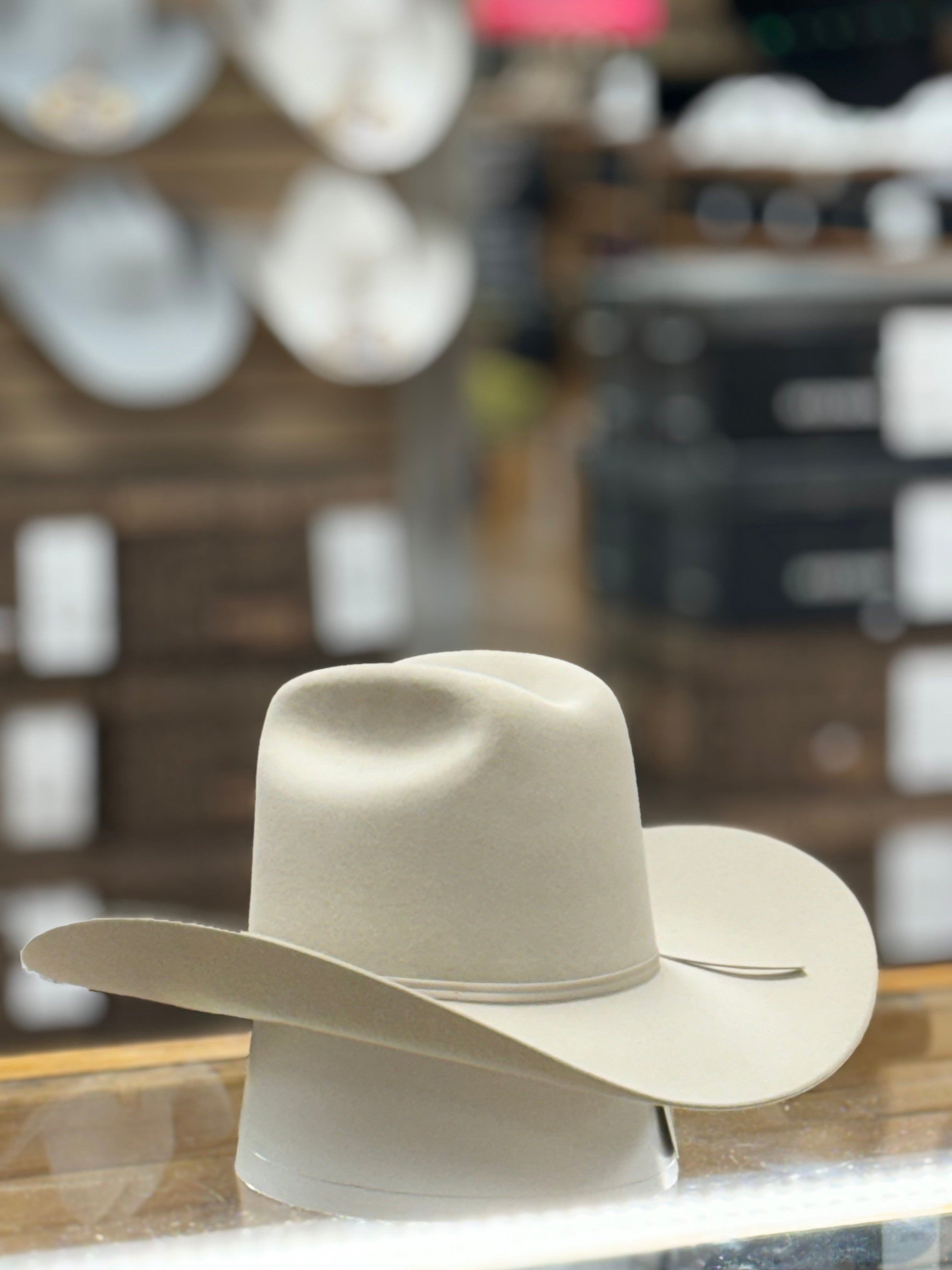 STETSON Rancher 6X Silver belly