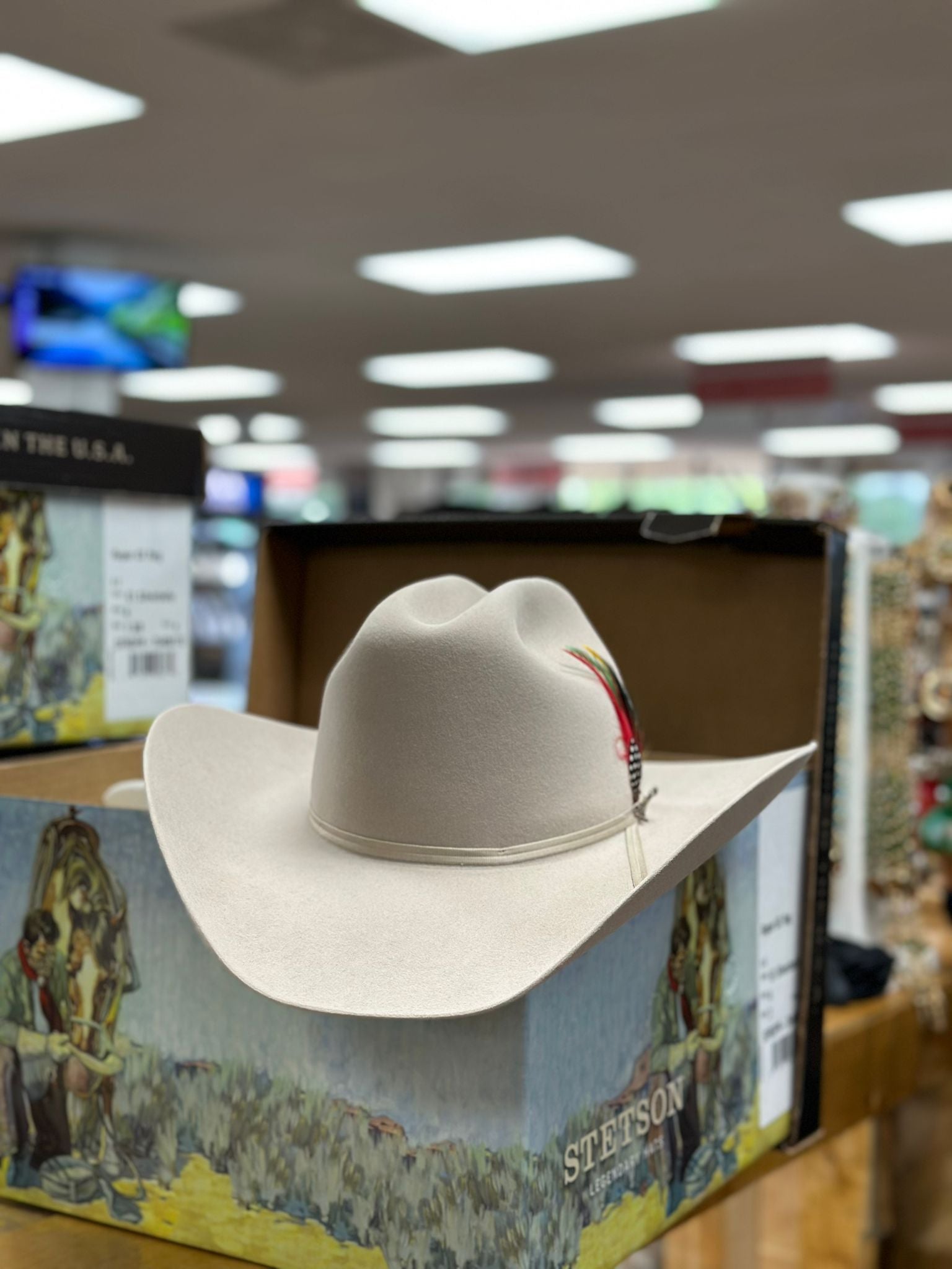 STETSON ROPER 6X SILVERBELLY