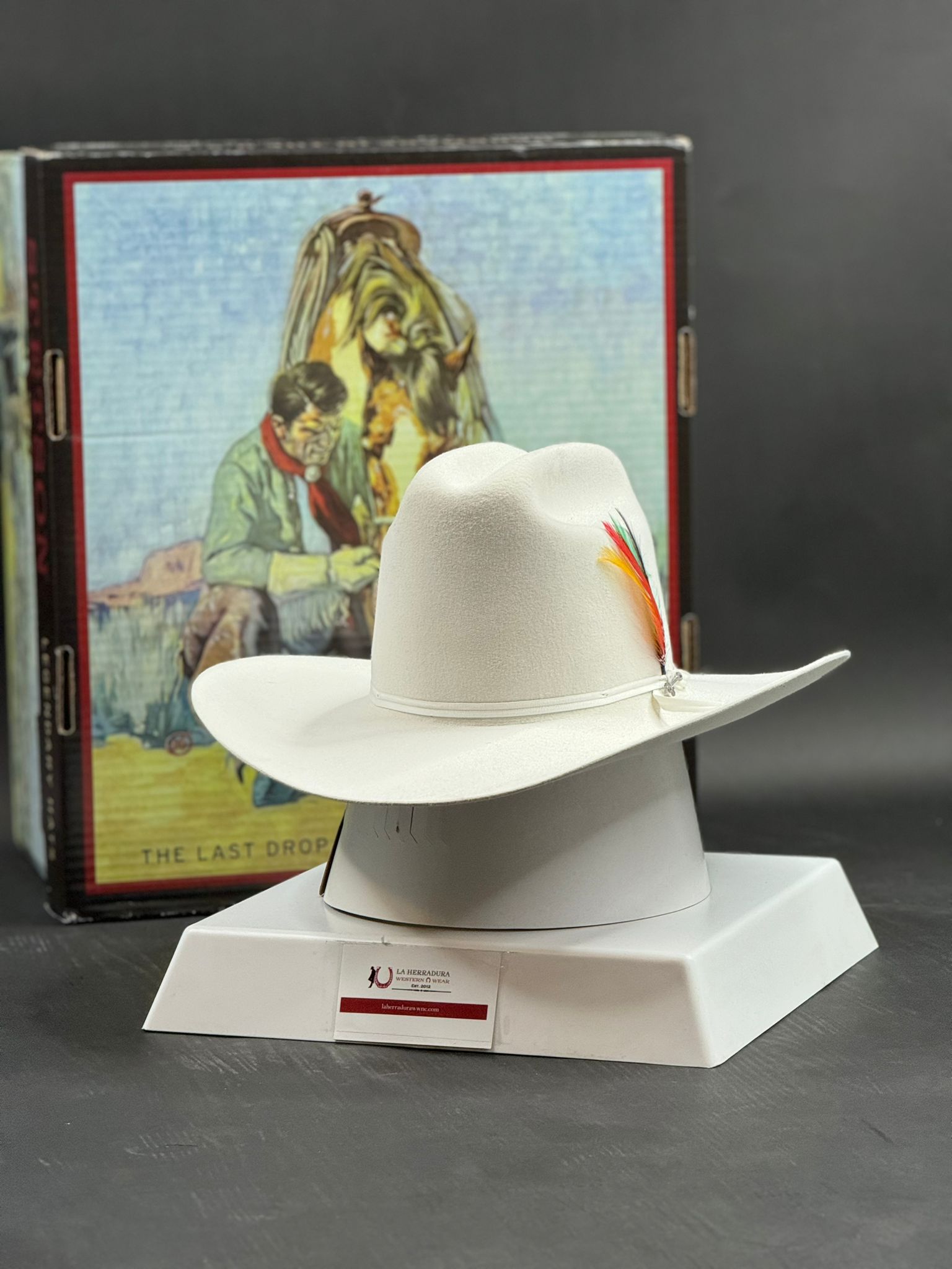 STETSON Rancher 6X White