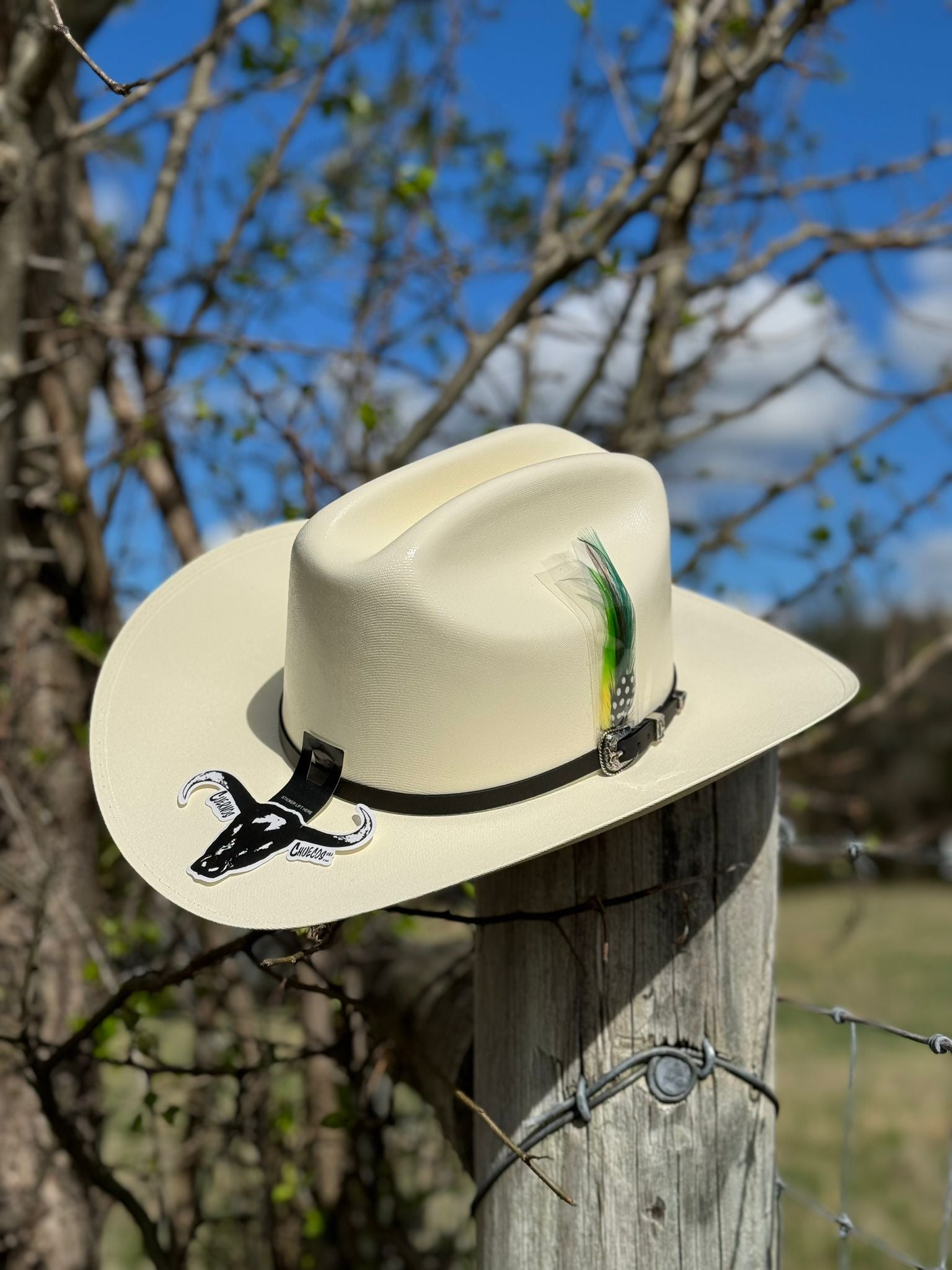 CUERNOS CHUECOS 5000X LIMITED EDITION STRAW HAT RANCHERA ATEJANADA