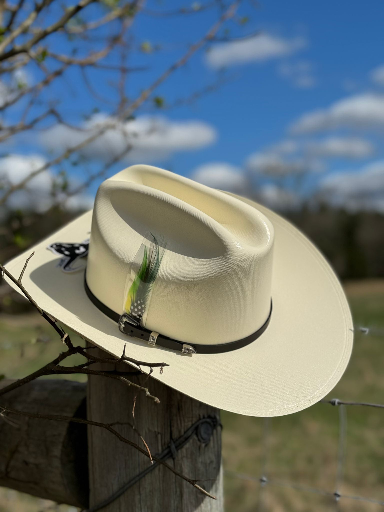 CUERNOS CHUECOS 5000X LIMITED EDITION STRAW HAT RANCHERA ATEJANADA