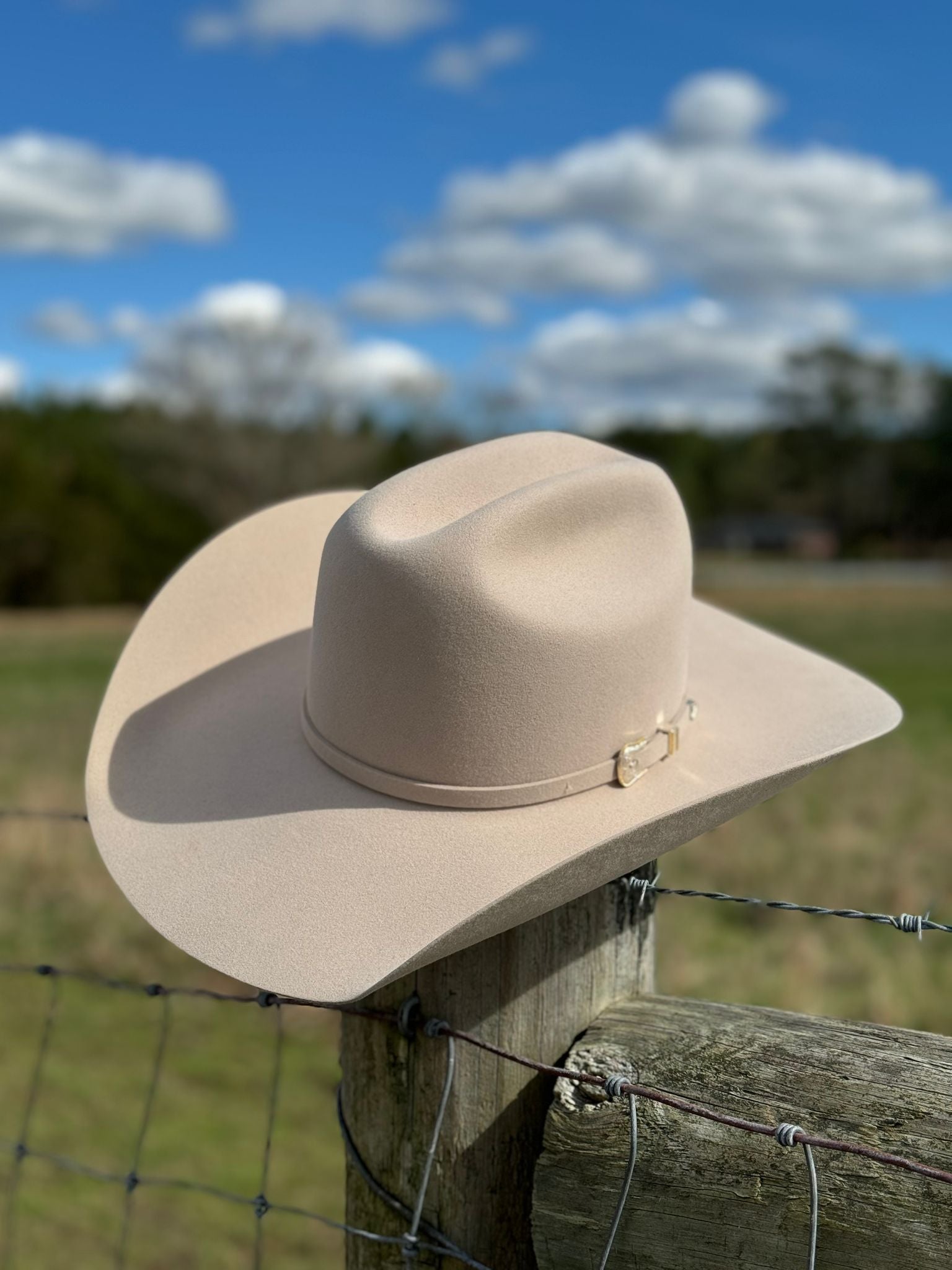 10X American Felt Hat Silverbelly