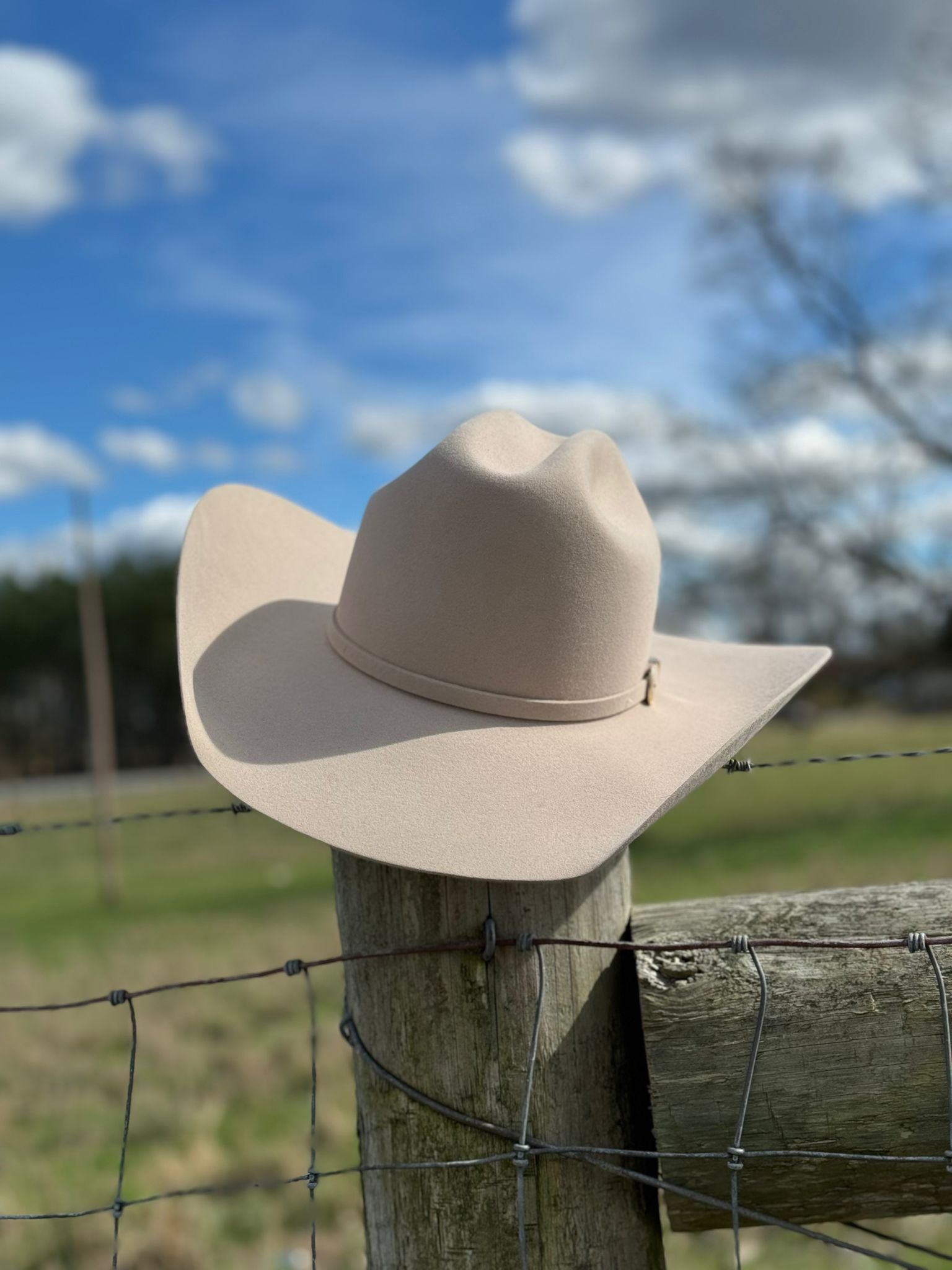 10X American Felt Hat Silverbelly