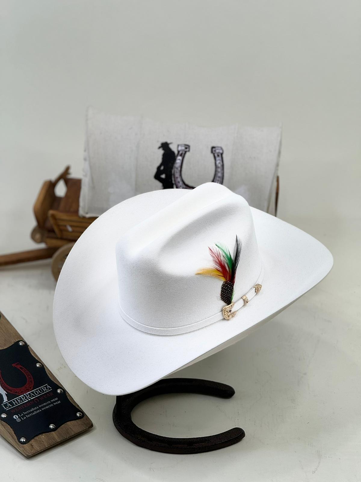 SOMBRERO COWBOY 30X DE LARRY MAHAN 