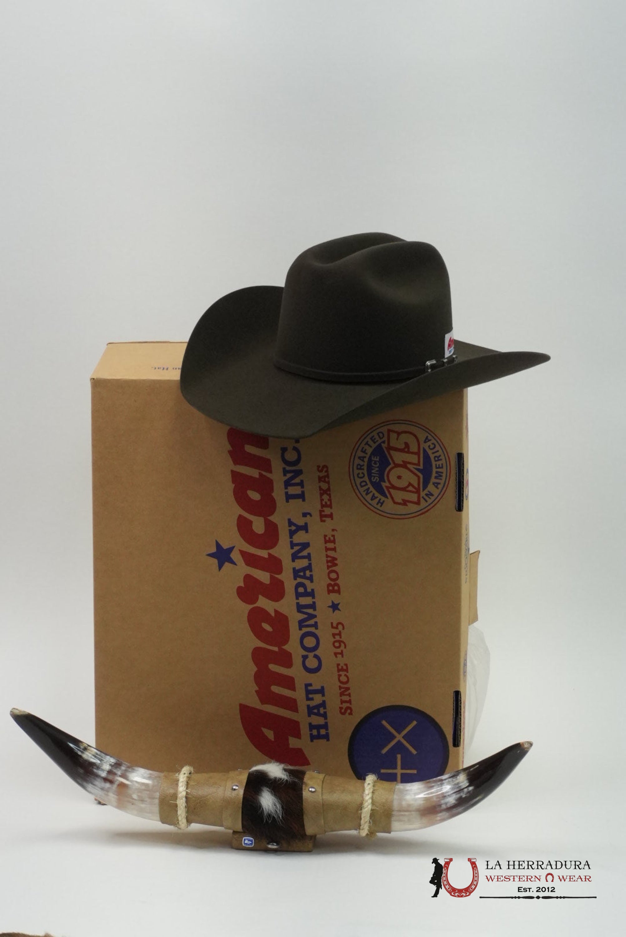 American Hat 10x Evergreen Cowboy Hat TEJANA