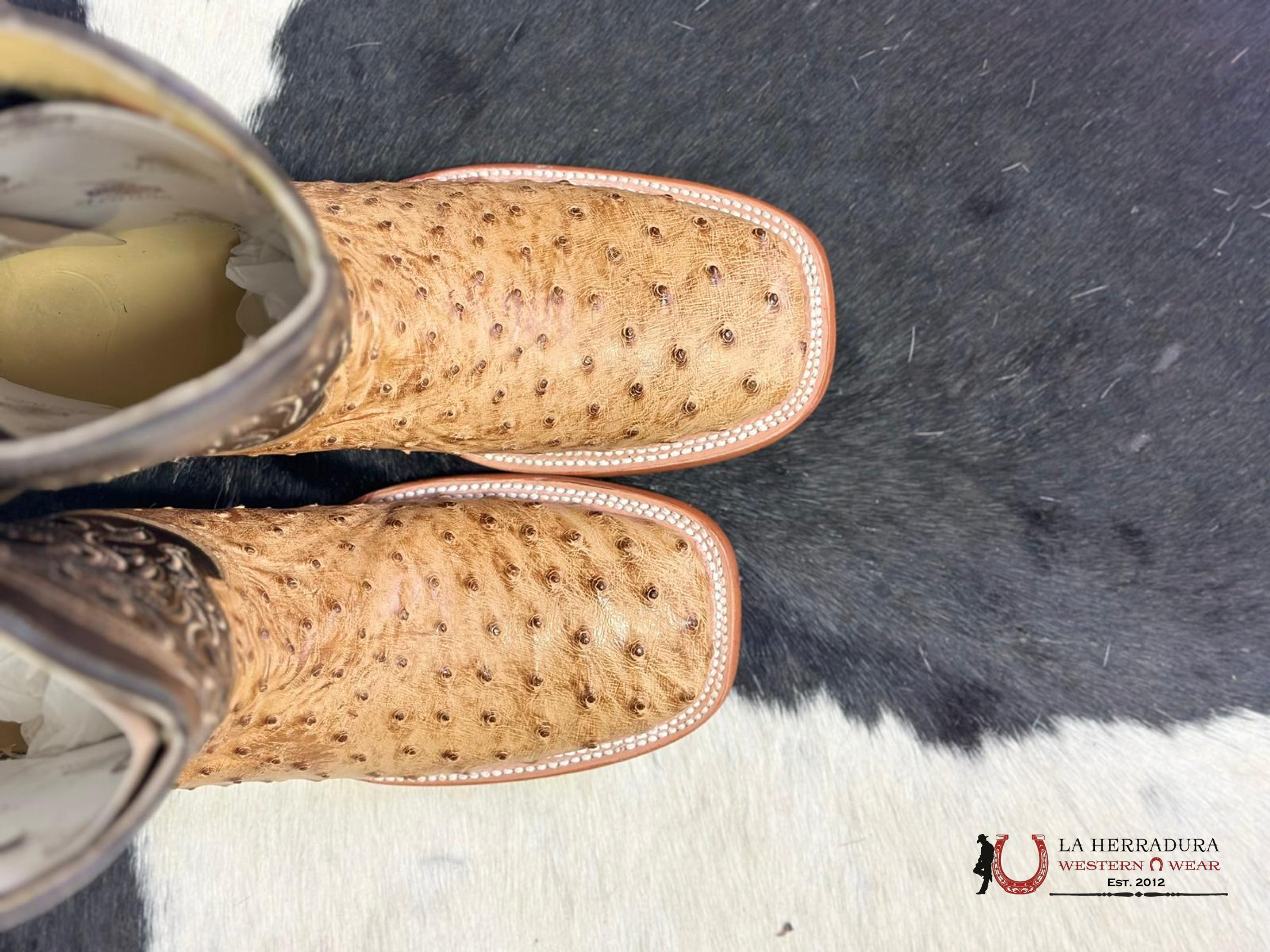 Arango Boots Pro-Rodeo Ostrich Umber Brucciato Botas Hombres