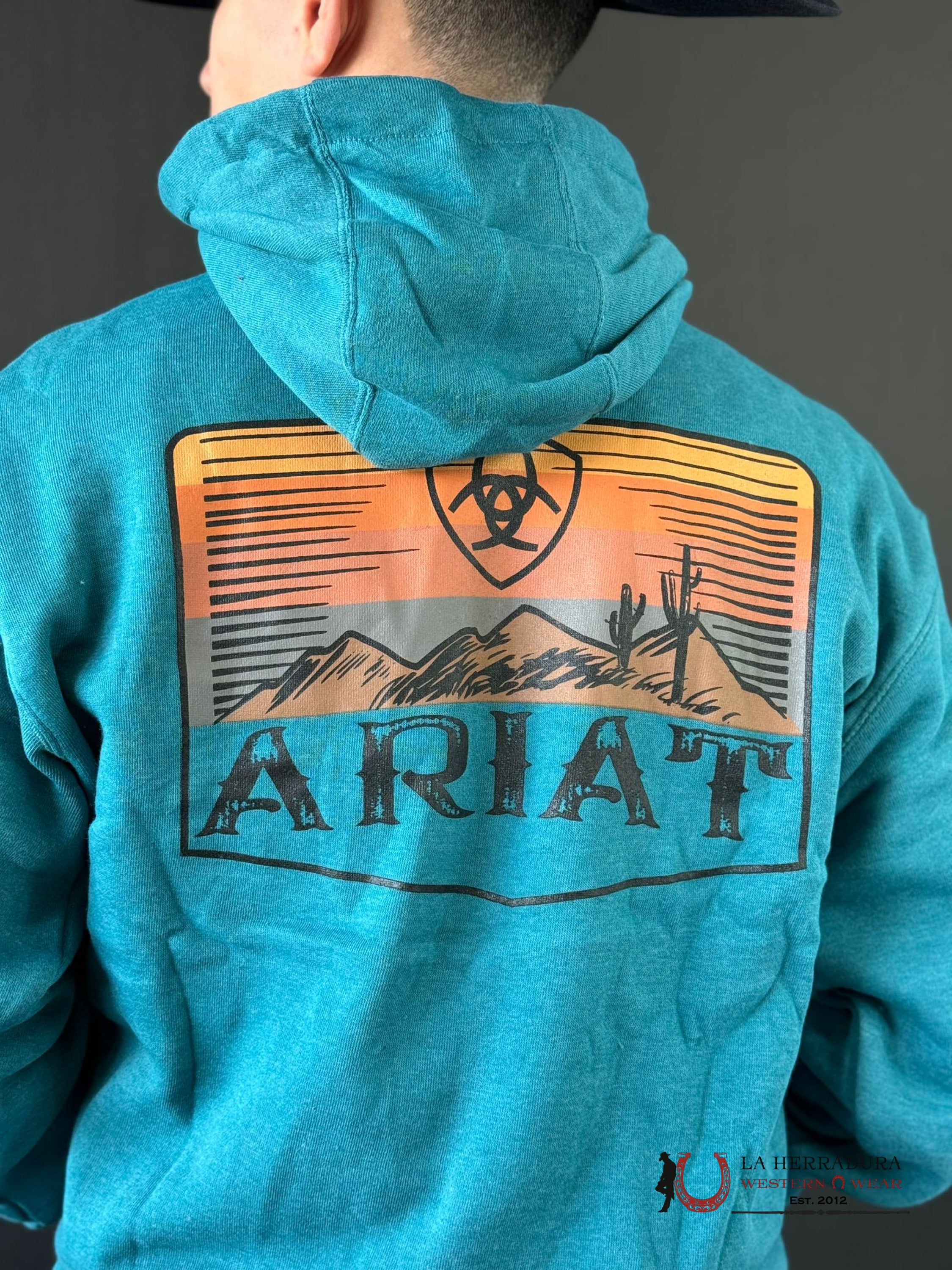 Ariat Desert Sun Hoodie Ocean Depths Heather Ropa Hombres
