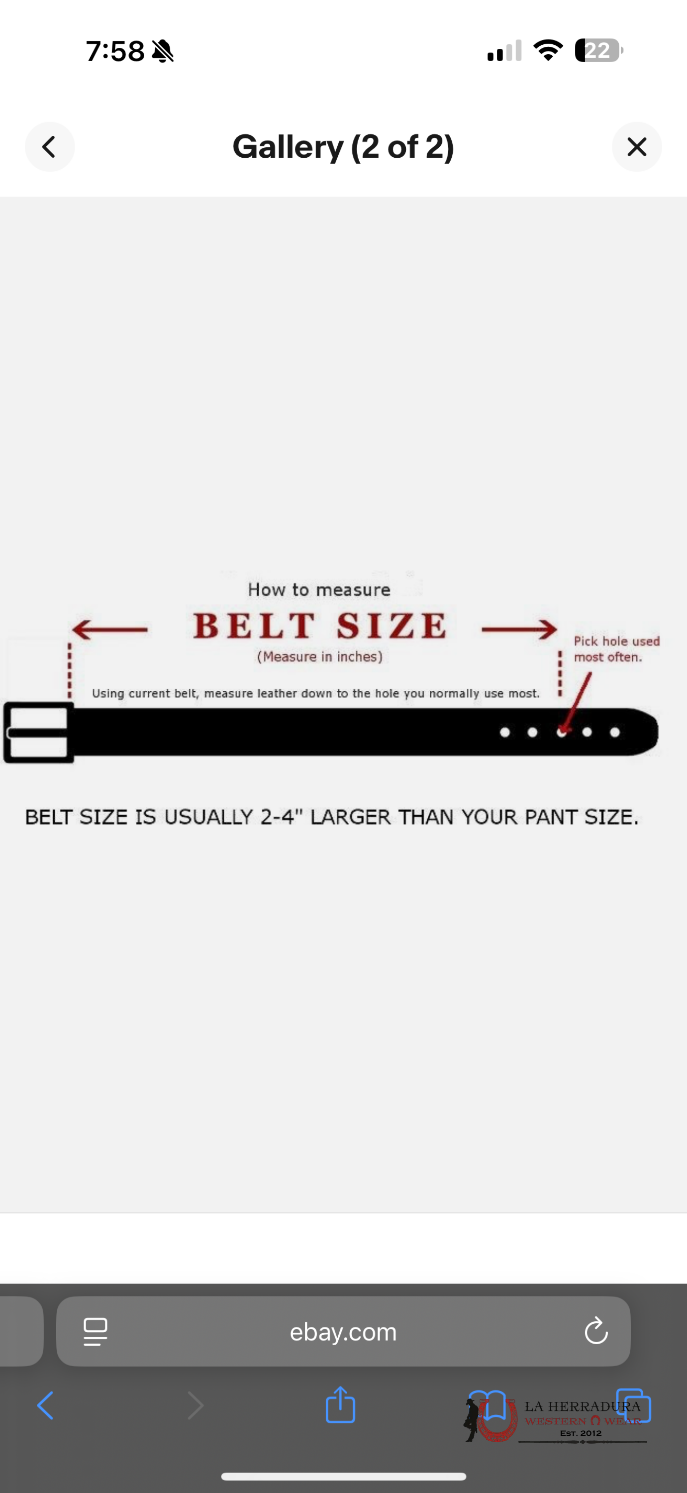 ARIAT HANDTOOLED BELT WOMENS A1039702 CINTURONES MUJERES