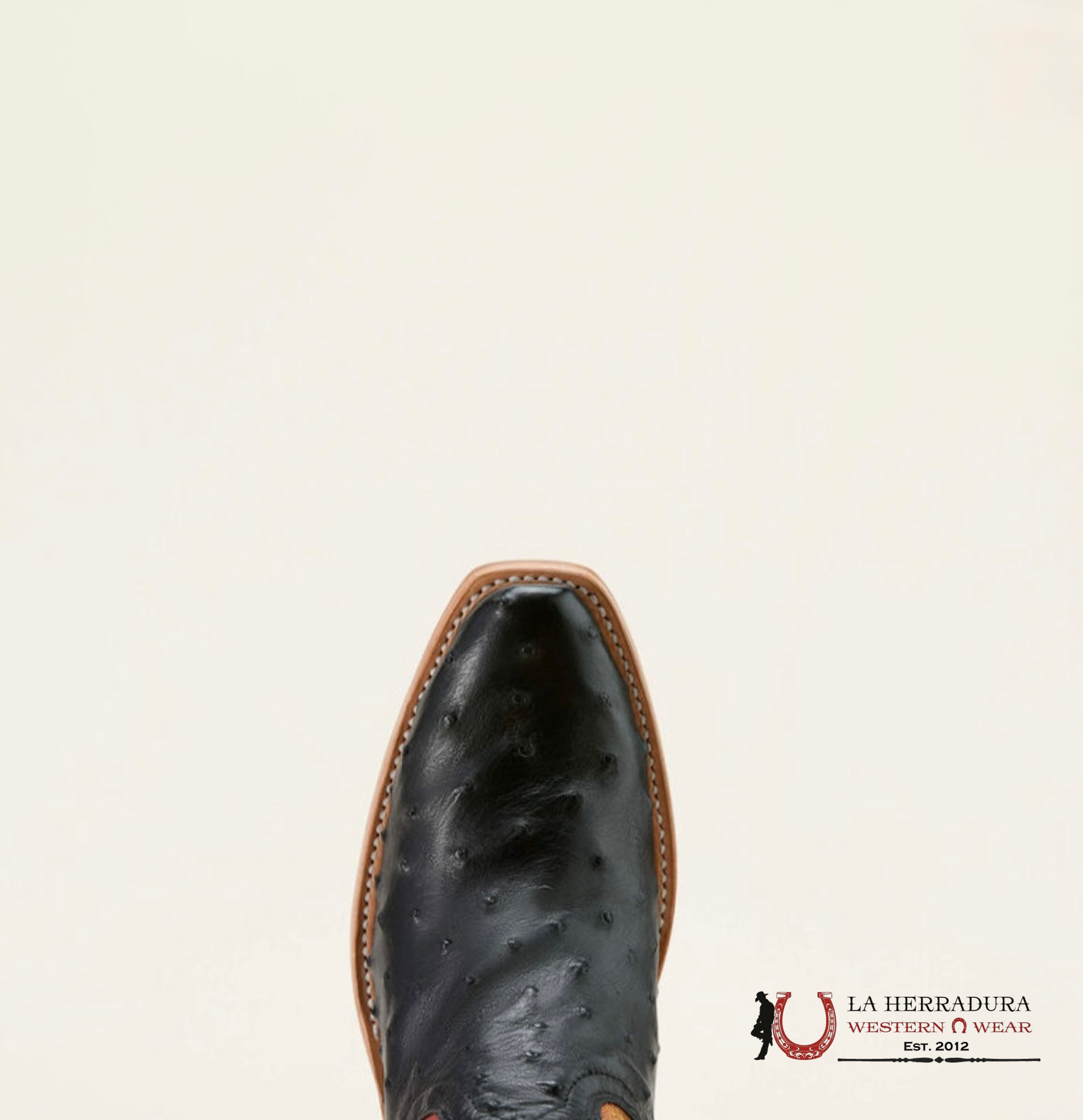 Ariat Women Boot Futurity Revival Jet Black Full Quill Ostrich/Sunrise Shine Botas Mujeres