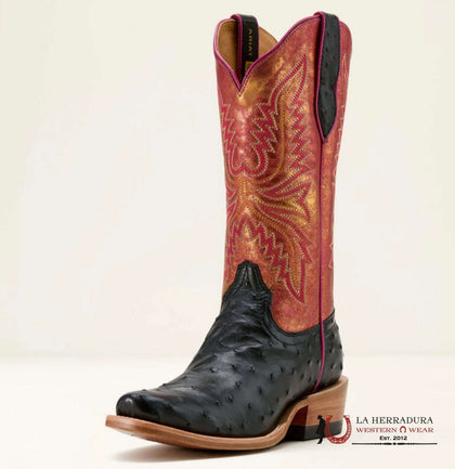 ARIAT WOMEN BOOT FUTURITY REVIVAL JET BLACK FULL QUILL OSTRICH/SUNRISE SHINE 10058163