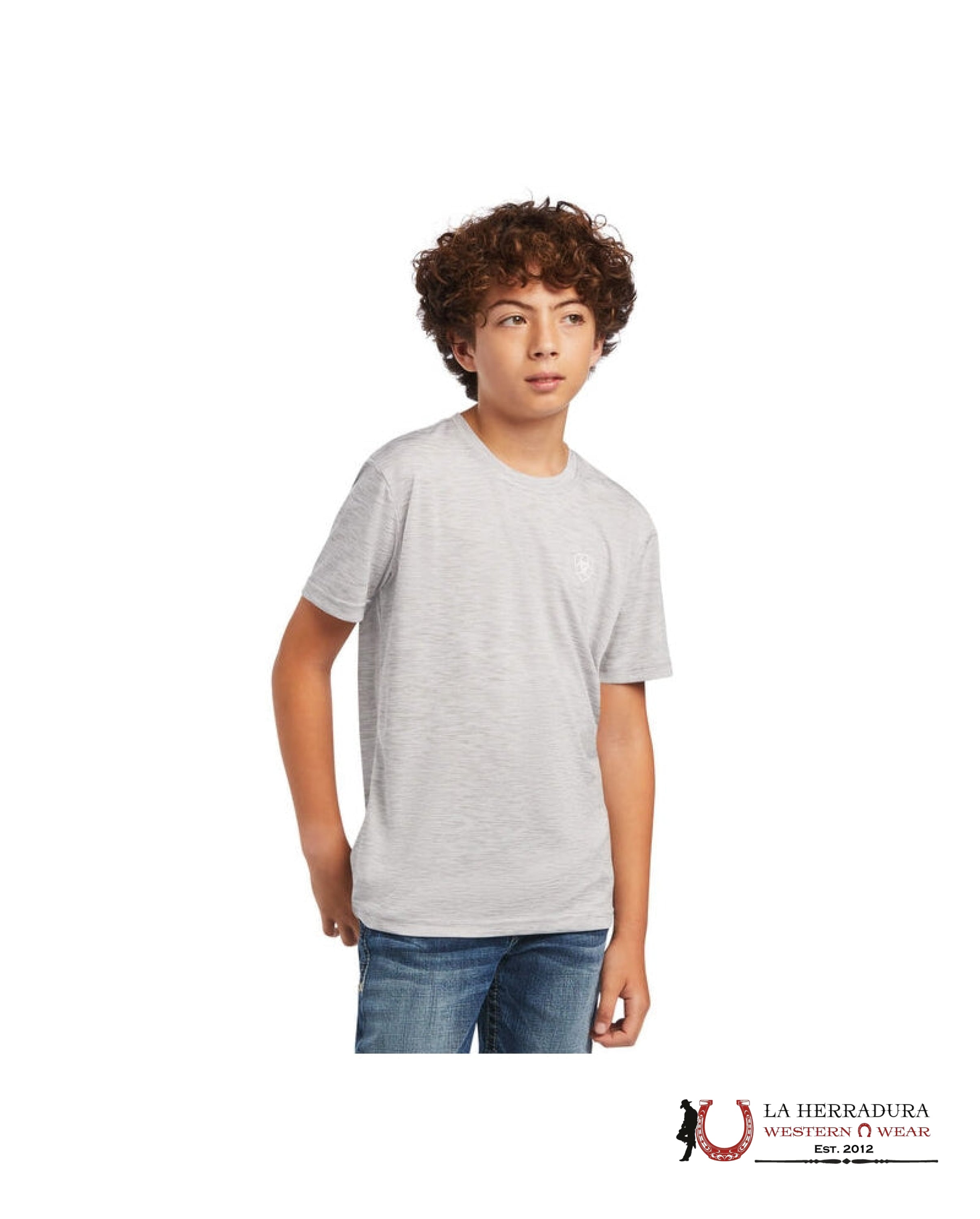 ARIATTEK KIDS TSHIRT -BOYS CHARGER PATRIOTIC SS 10040637 NIÑOS