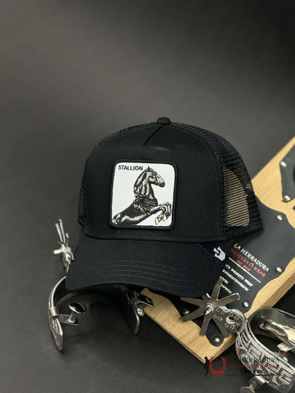 BLACK STALLION HORSE PATCH CAP