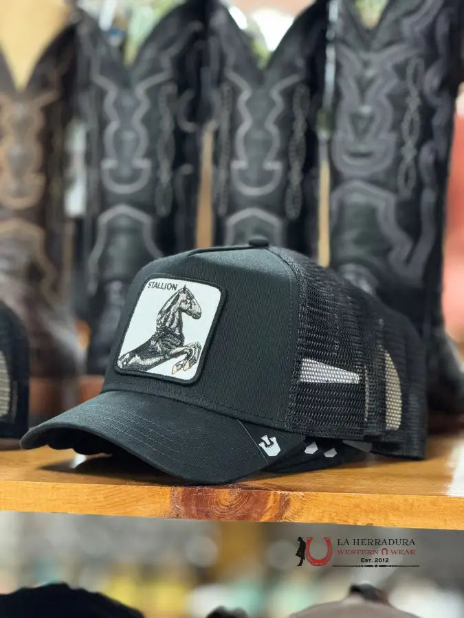 Black Stallion Horse Patch Cap Caps Mens Gorras Hombres