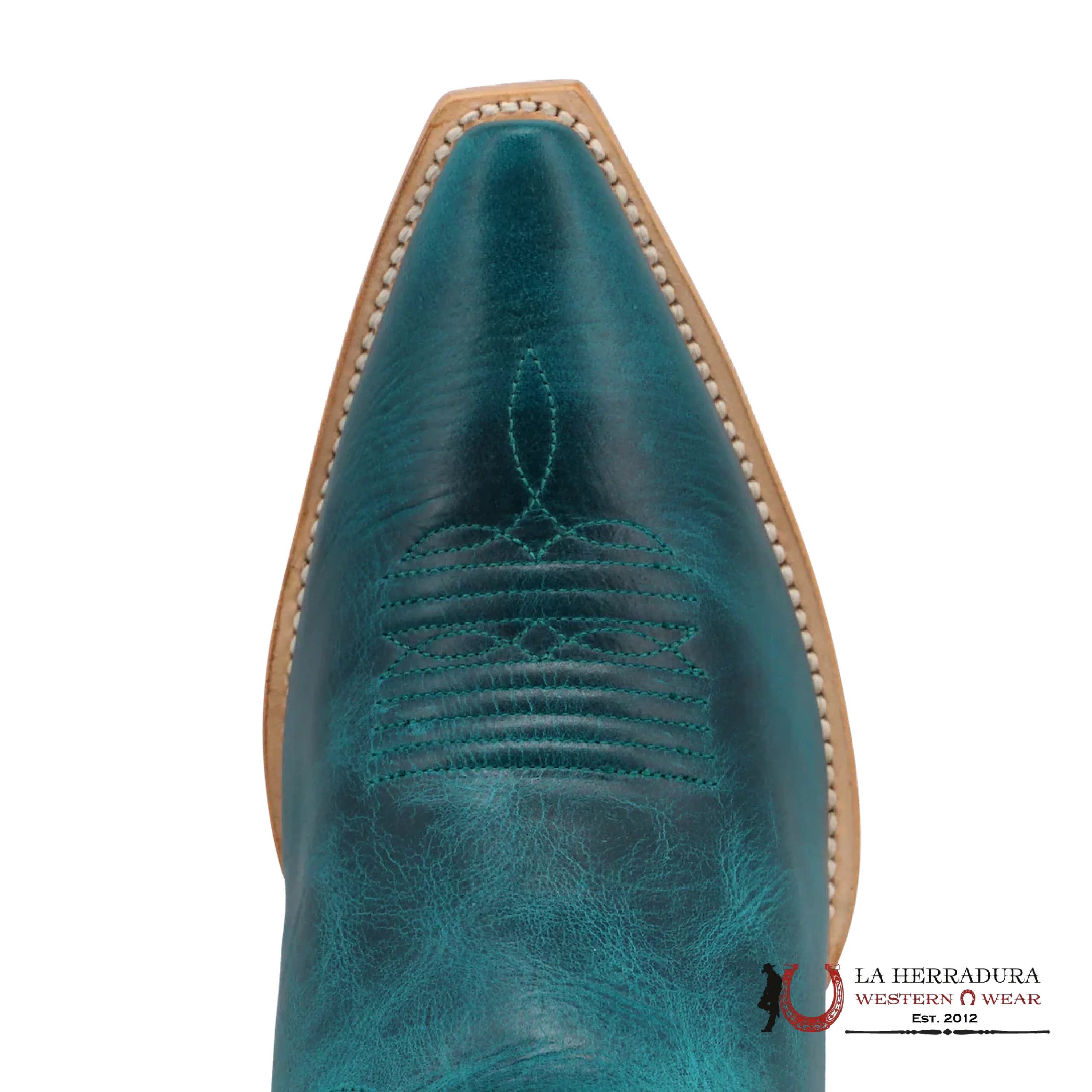 BLACK STAR ‘PARADISE’ LAGUNA BLUE POINT TOE BOOT WBSN031 BOTAS MUJERES
