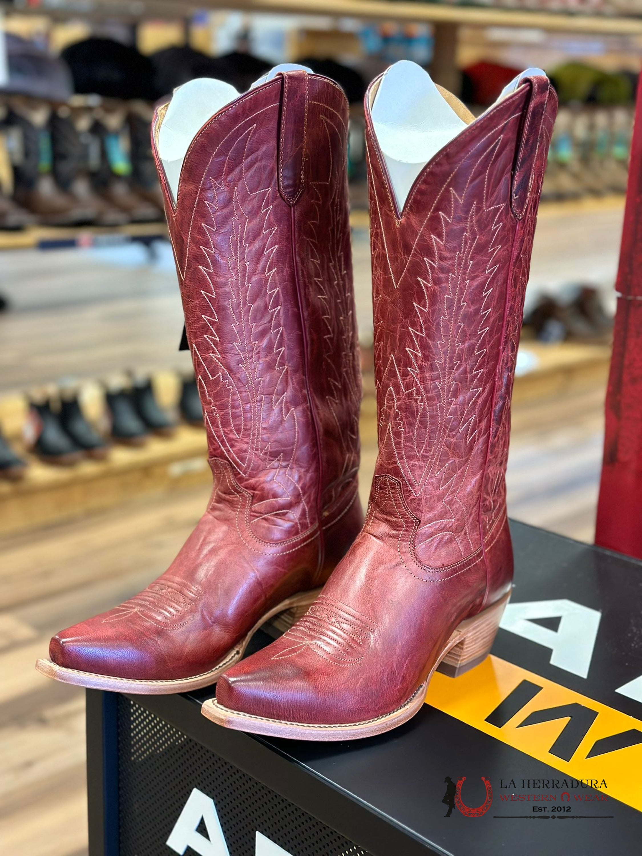 Botas Victoria Black Star Boots Mujeres