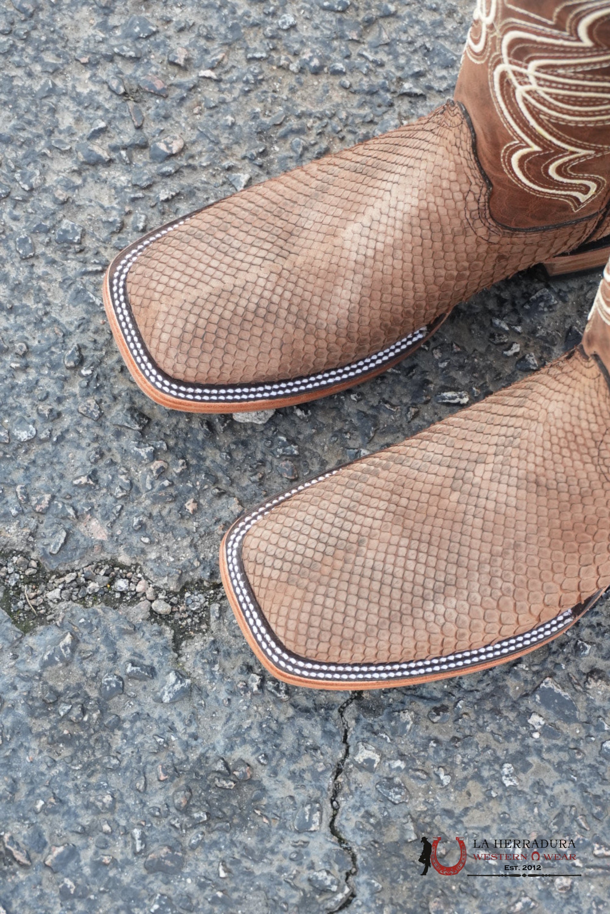 BuckShot Python Tamarindo Belly Square Toe Boot BOTAS HOMBRES