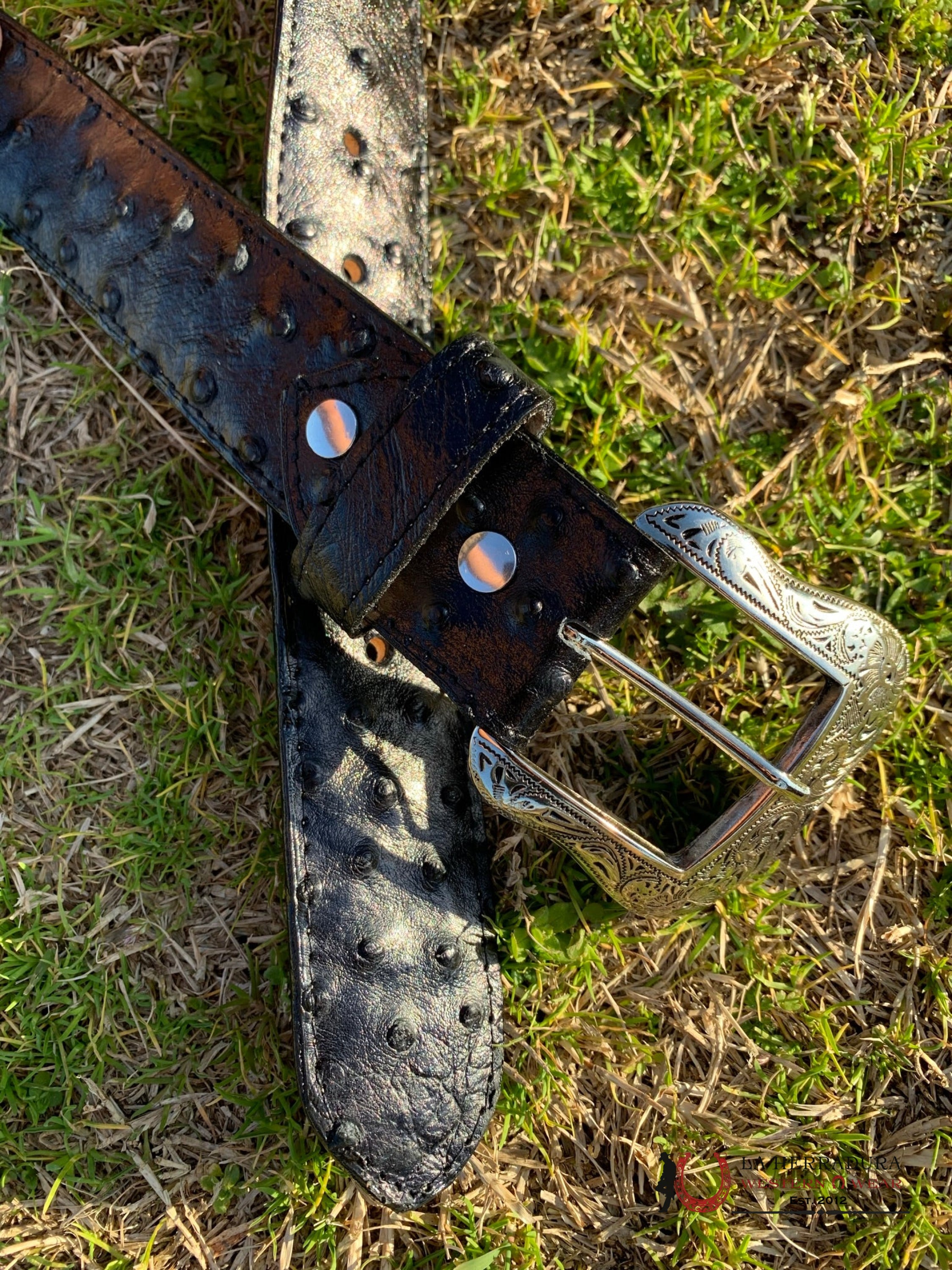 Cinturon Tanner Mark Para Hombre Avestruz Black Imit Cinturones Hombres