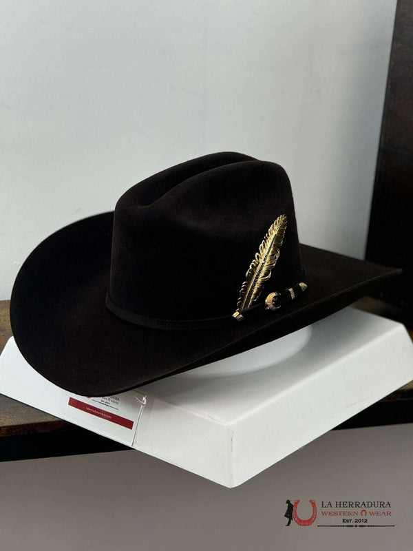 SOMBRERO DE FIELTRO DE CHOCOLATE CUADRA 100X GATOR