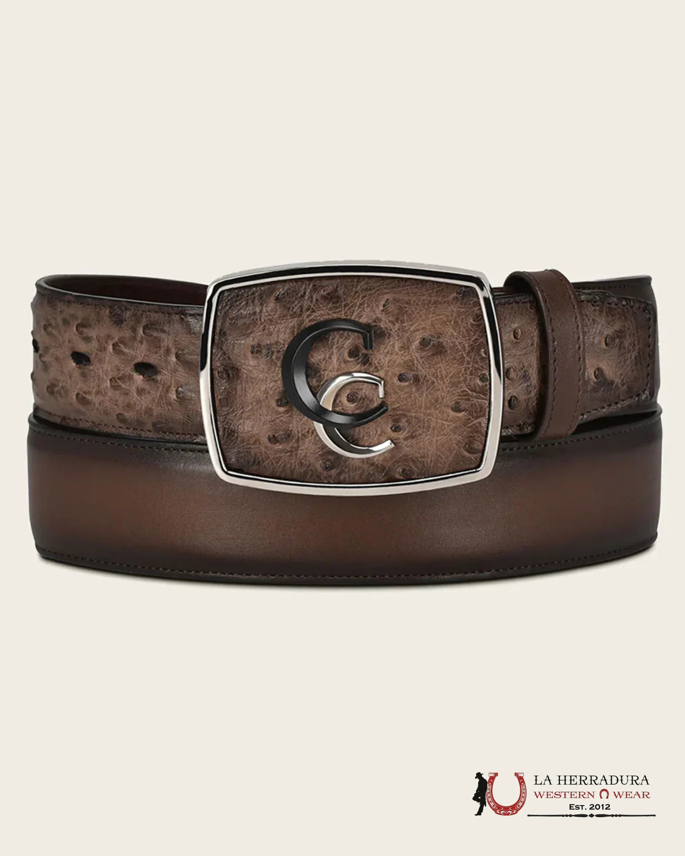 CUADRA AVESTRUZ LUGAN CAFE BELT BC321 CINTURONES HOMBRES