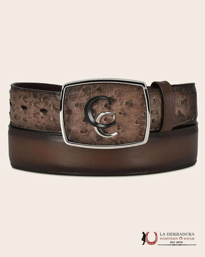 CUADRA AVESTRUZ LUGAN CAFE BELT BC321