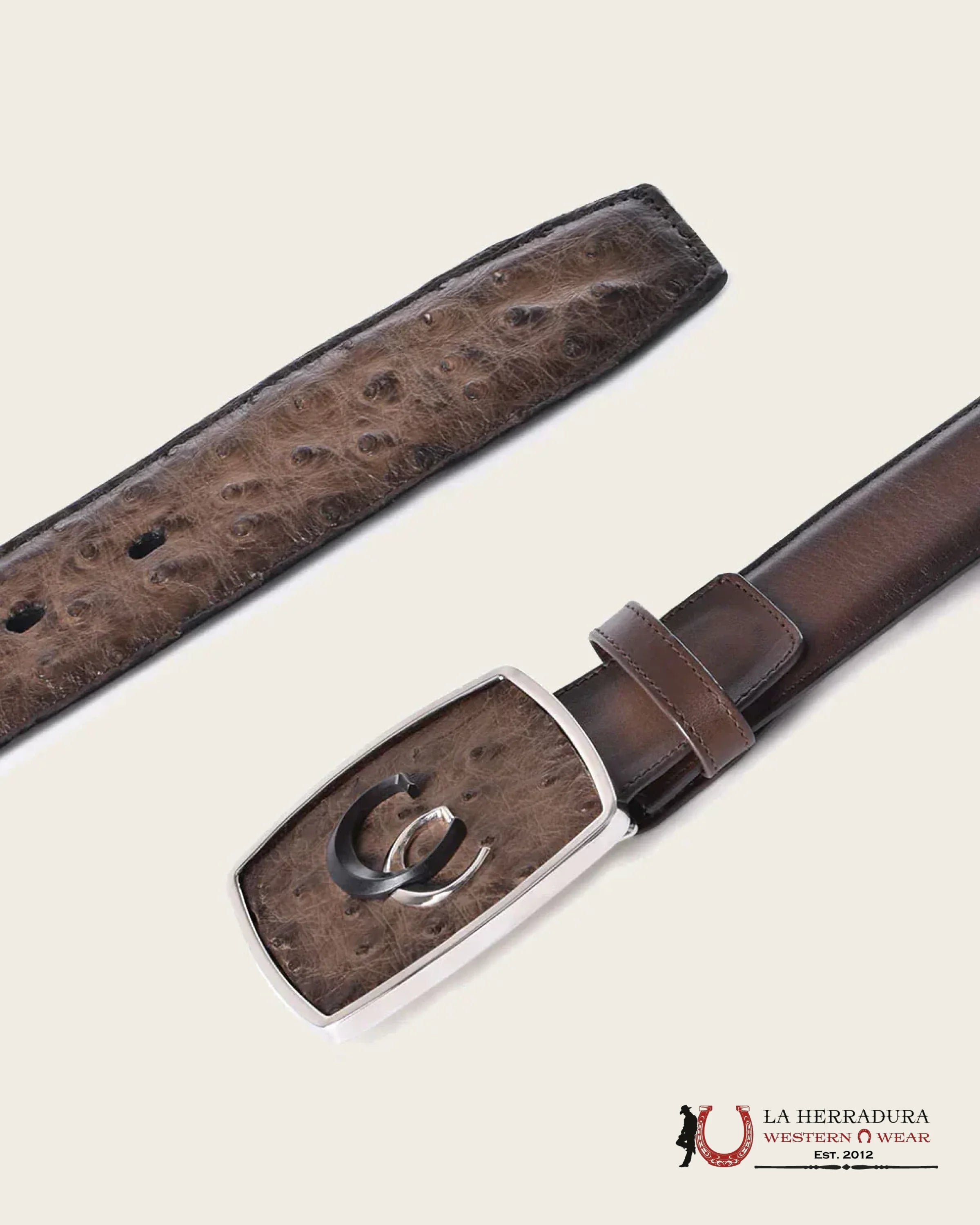 CUADRA AVESTRUZ LUGAN CAFE BELT BC321 CINTURONES HOMBRES