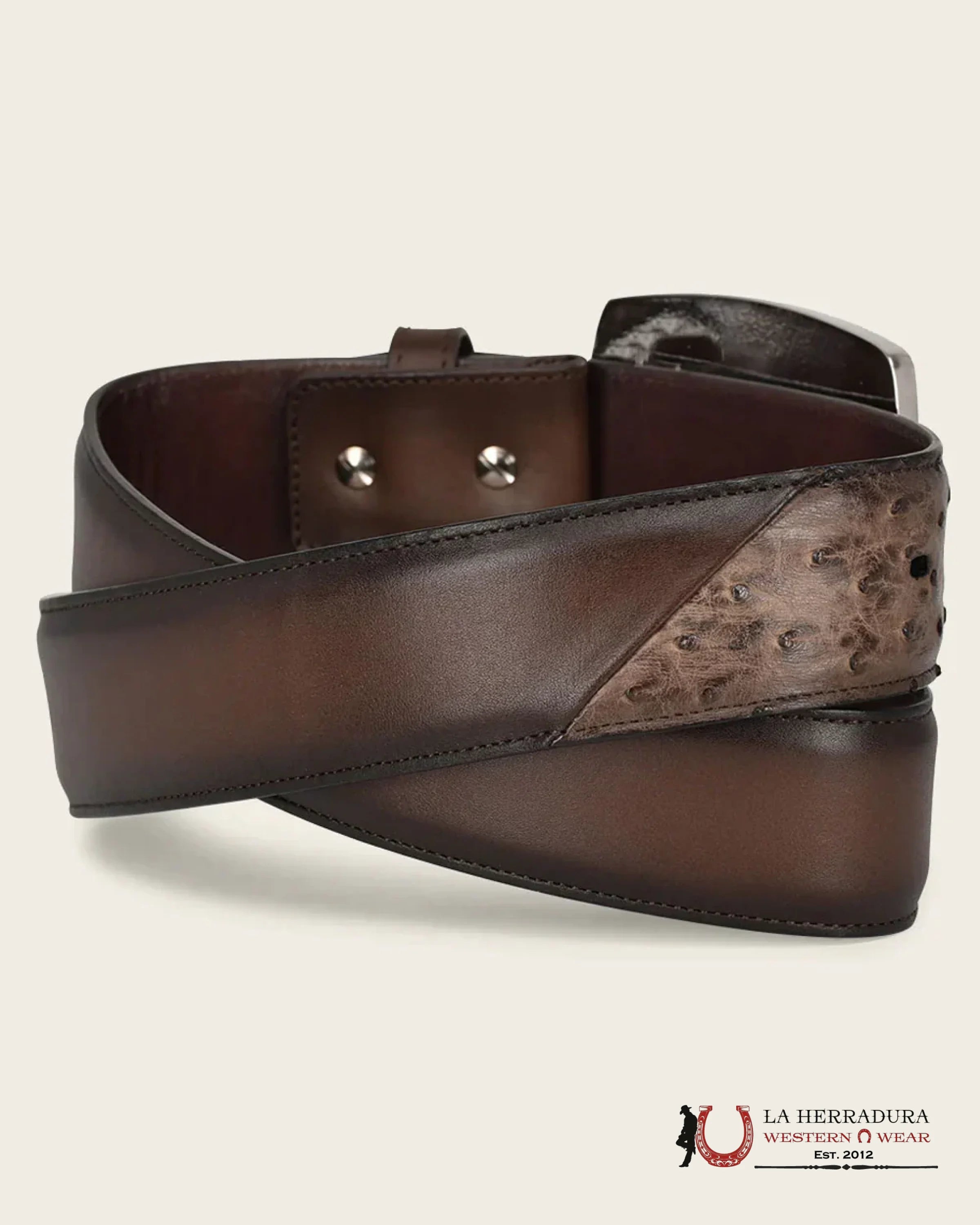 CUADRA AVESTRUZ LUGAN CAFE BELT BC321 CINTURONES HOMBRES