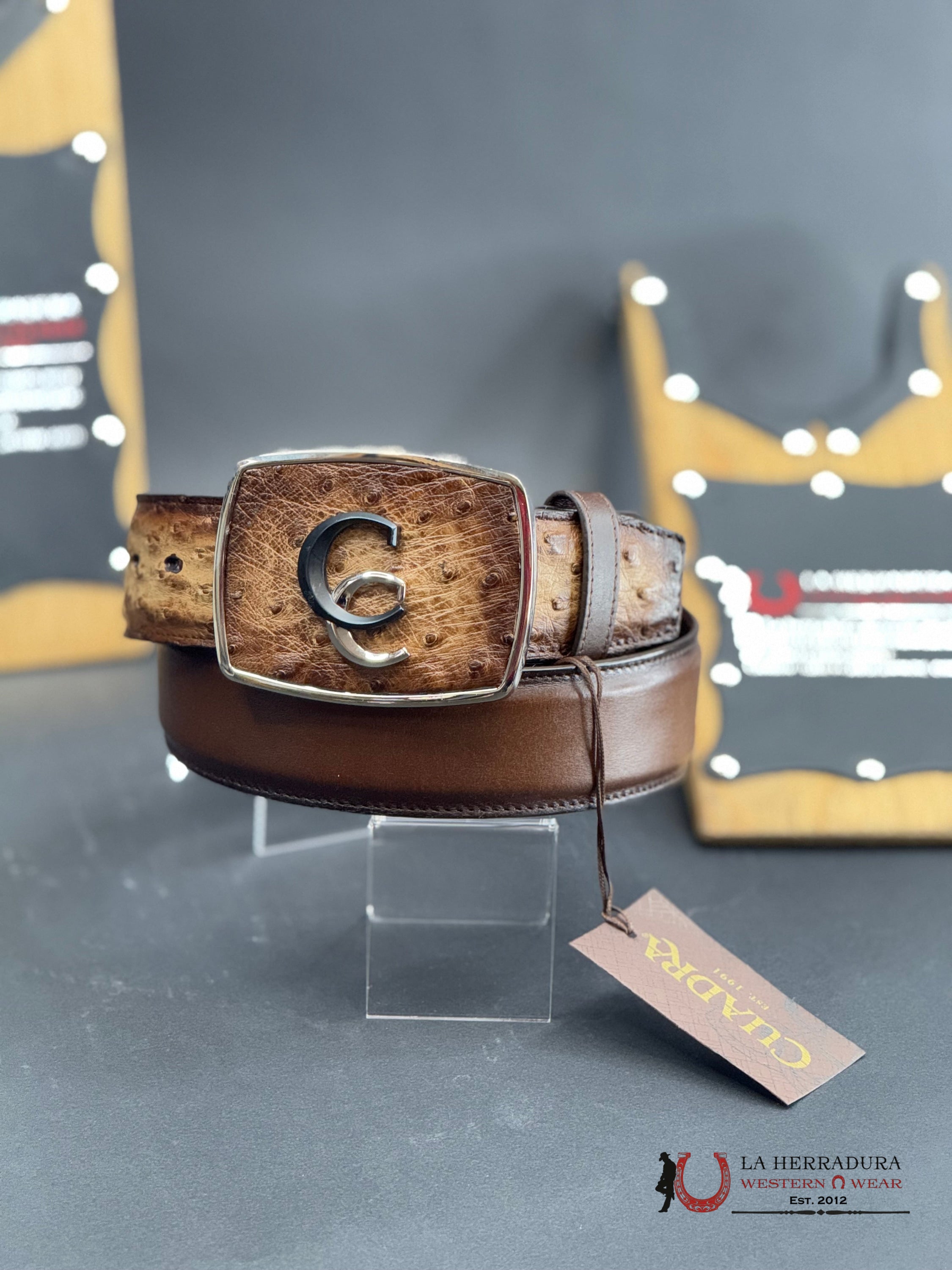 Cuadra Avestruz Lugan Cafe Belt Bc321 Cinturones Hombres