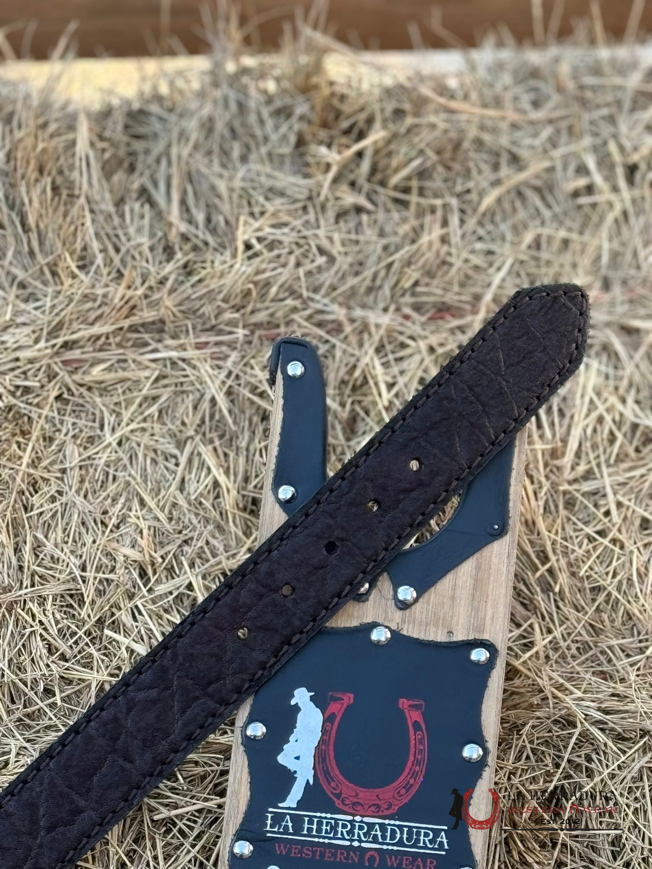 Cuadra Belt Elephant Brown Cafe Castaño Cinturones Hombres