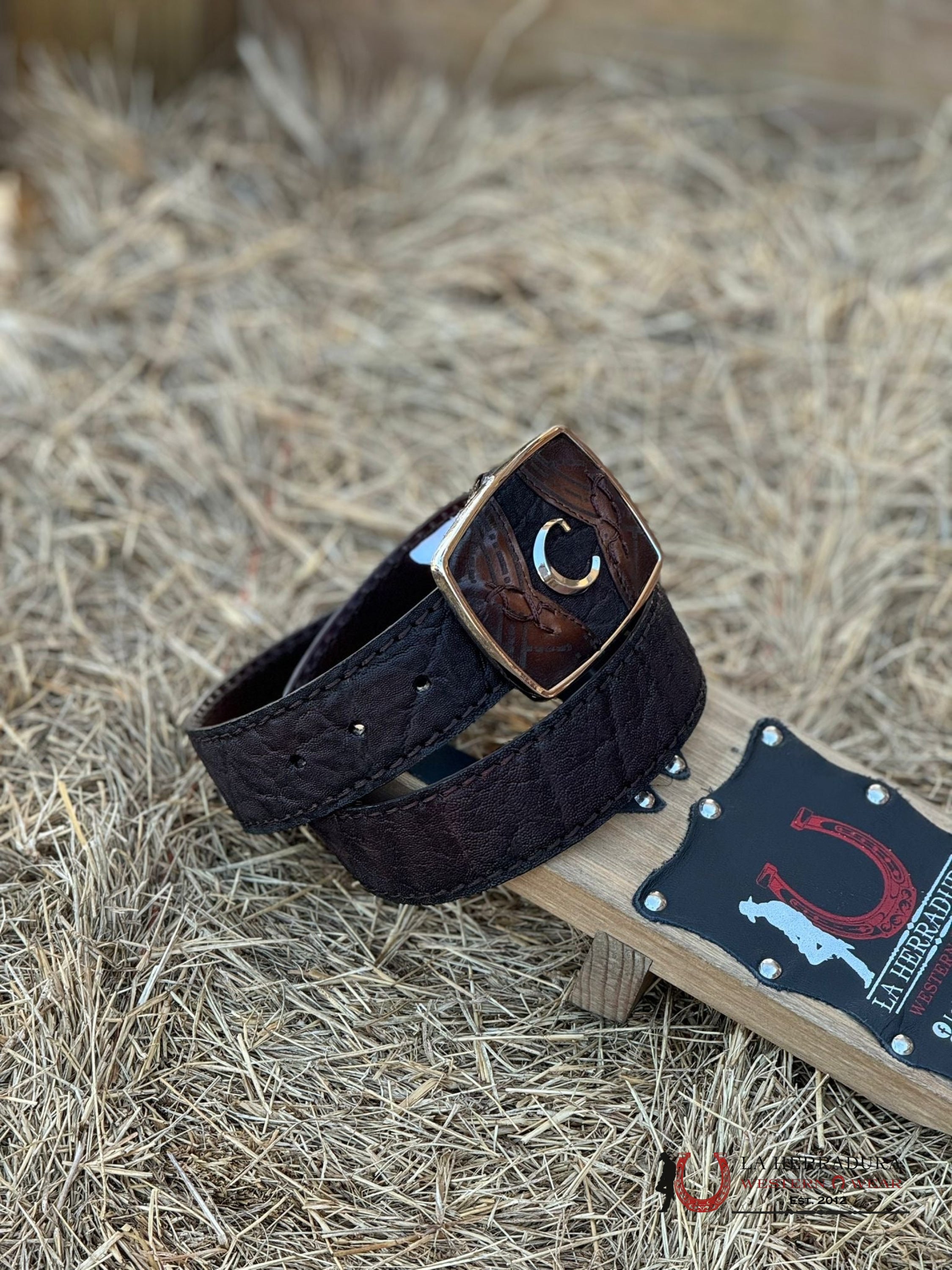 Cuadra Belt Elephant Brown Cafe Castaño Cinturones Hombres