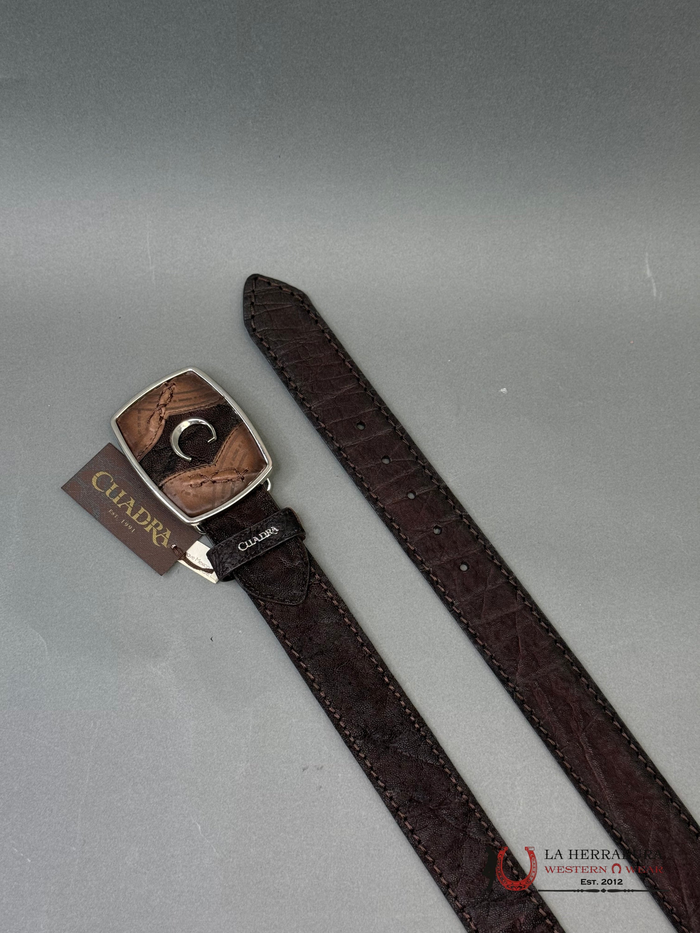 CUADRA BELT ELEPHANT BROWN CAFE CASTAÑO CINTURONES HOMBRES