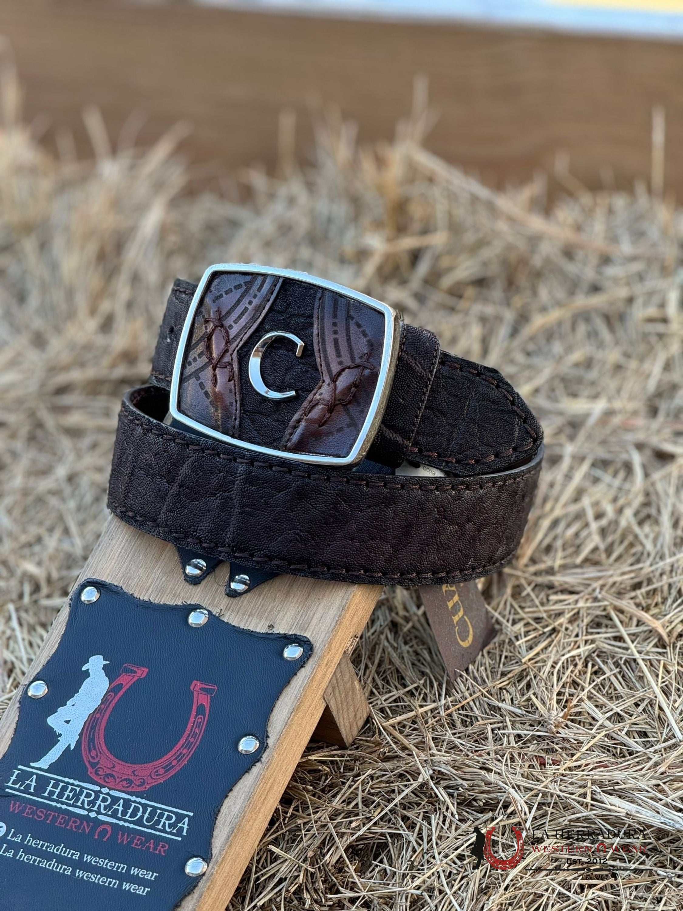 Cuadra Belt Elephant Brown Cafe Castaño Cinturones Hombres