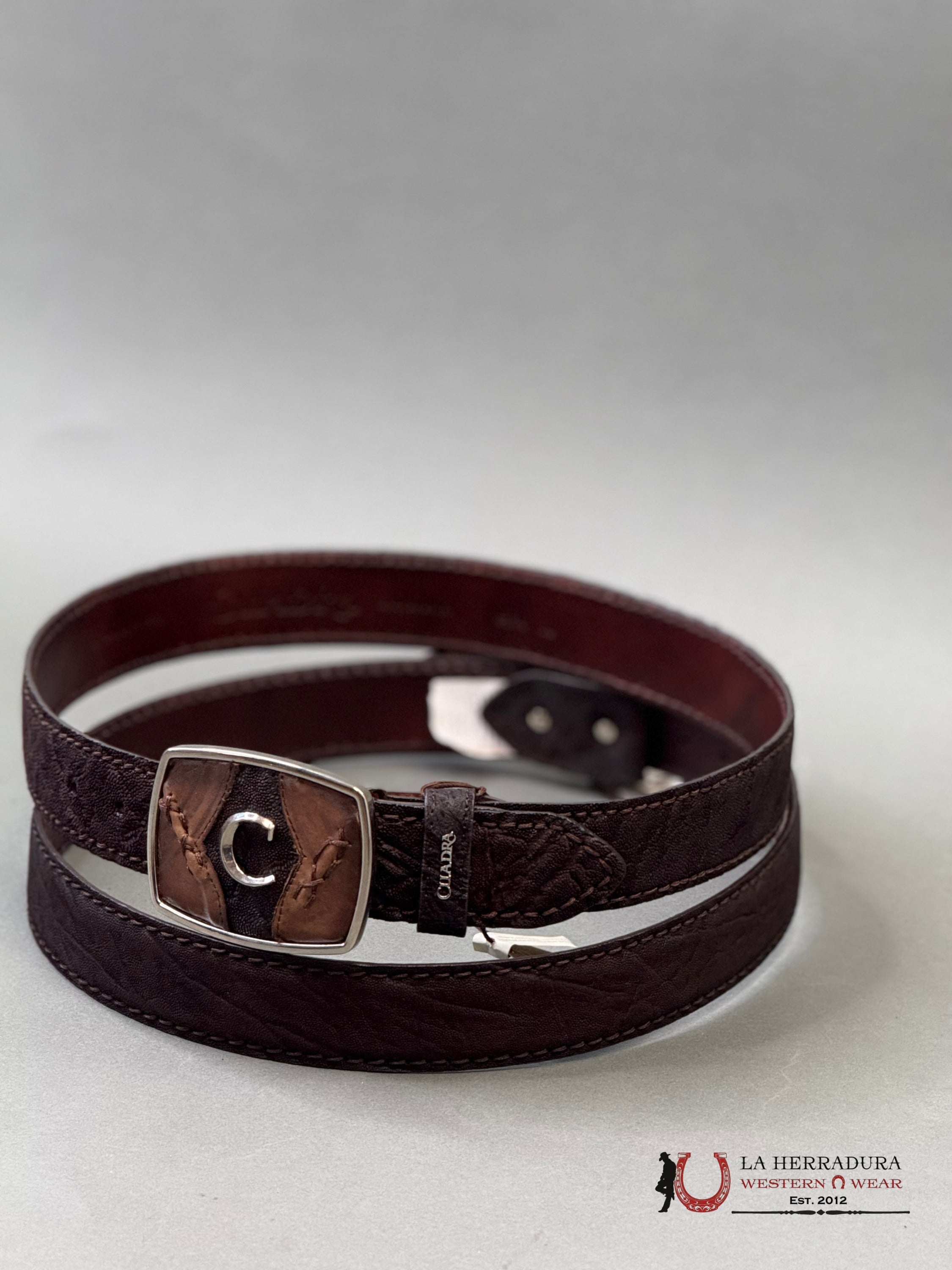 CUADRA BELT ELEPHANT BROWN CAFE CASTAÑO CINTURONES HOMBRES