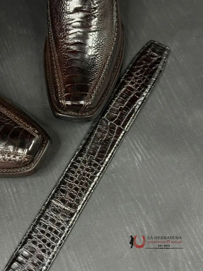 Cuadra Belt Fuscus Caiman Lomo Belly Complete Skin Arauco Chocolate Cinturones Hombres