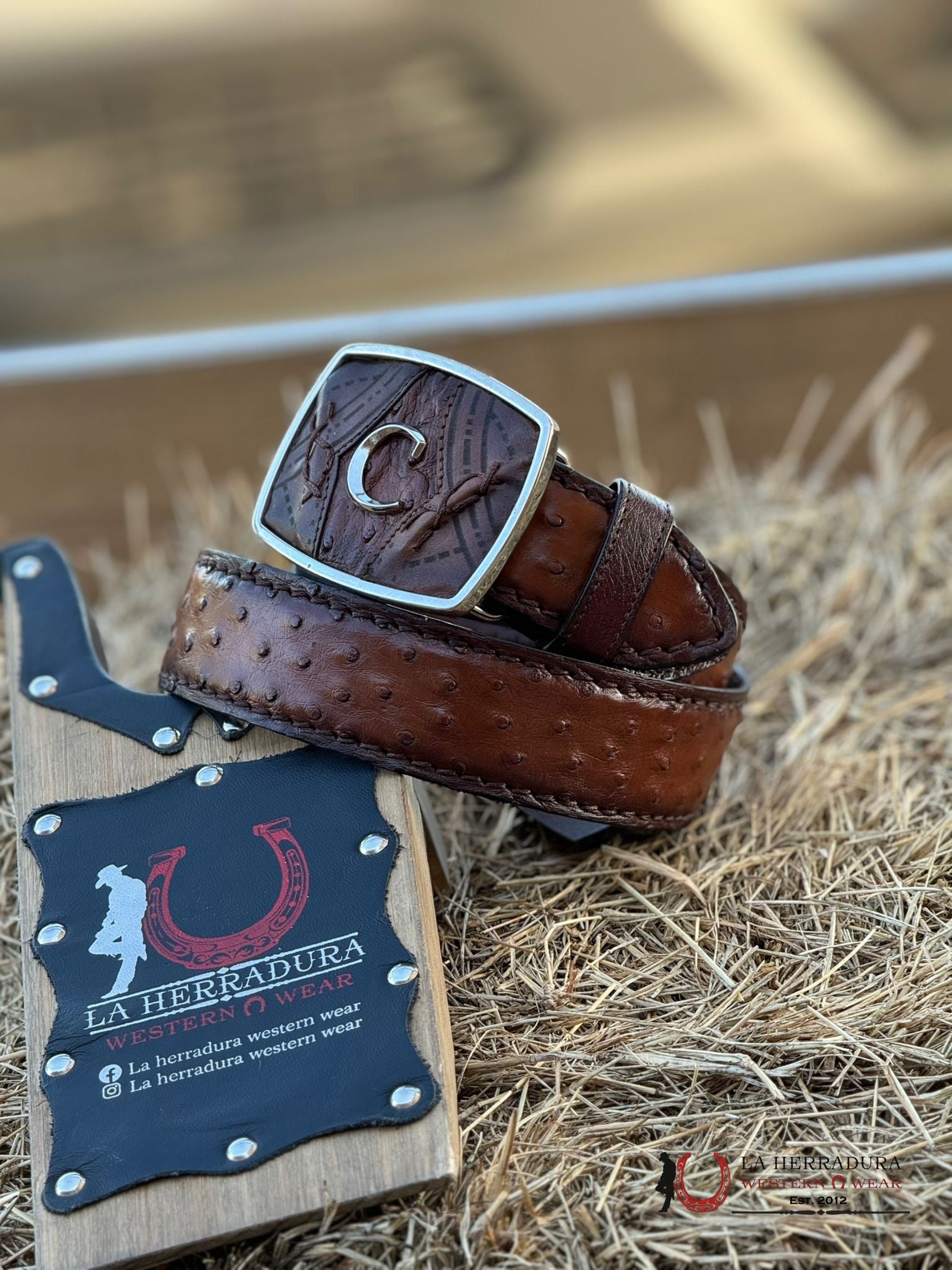 Cuadra Belt Ostrich Complete Moroni Brown Castaño Cinturones Hombres