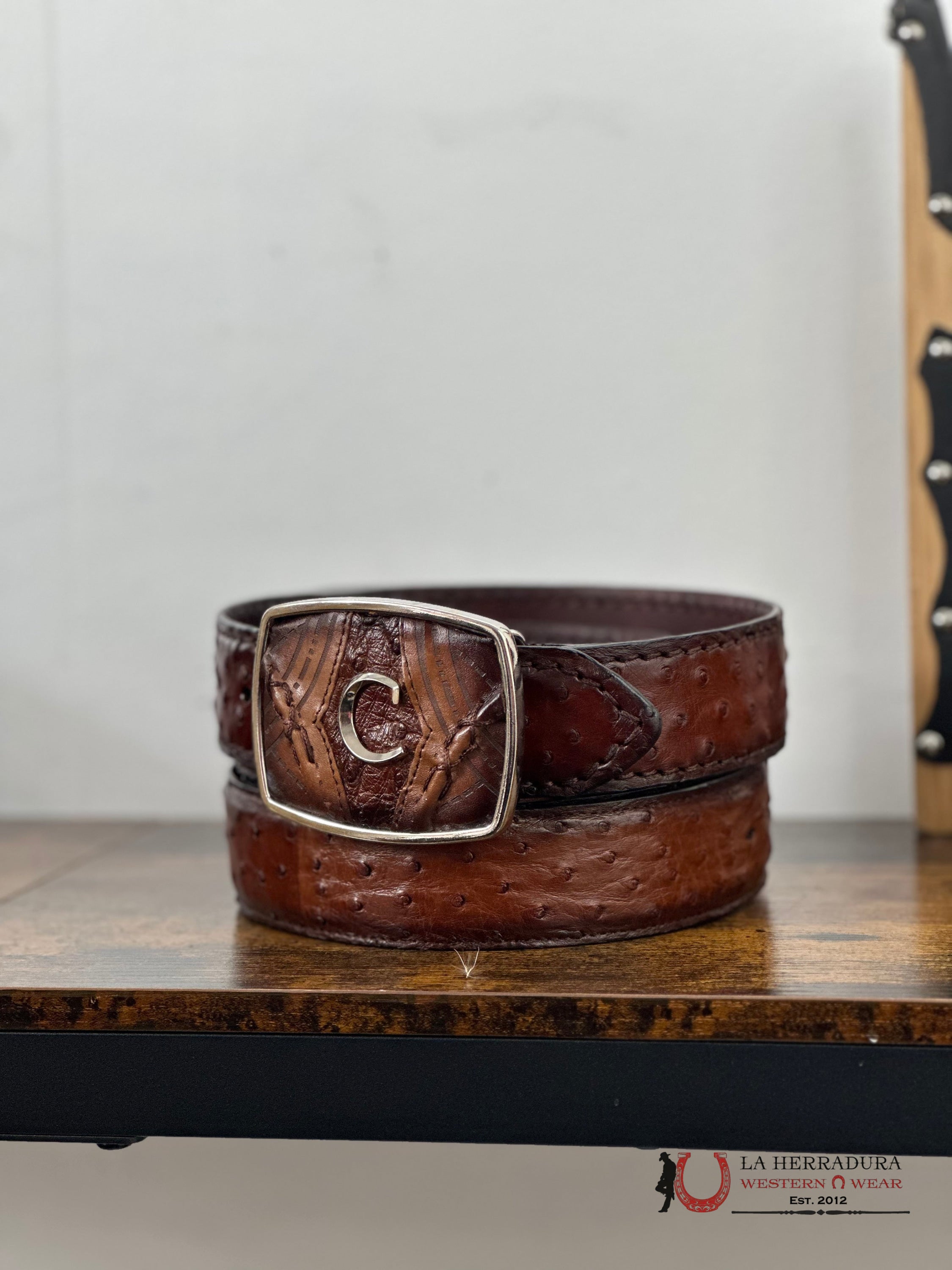 Cuadra Belt Ostrich Complete Moroni Brown Castaño Cinturones Hombres