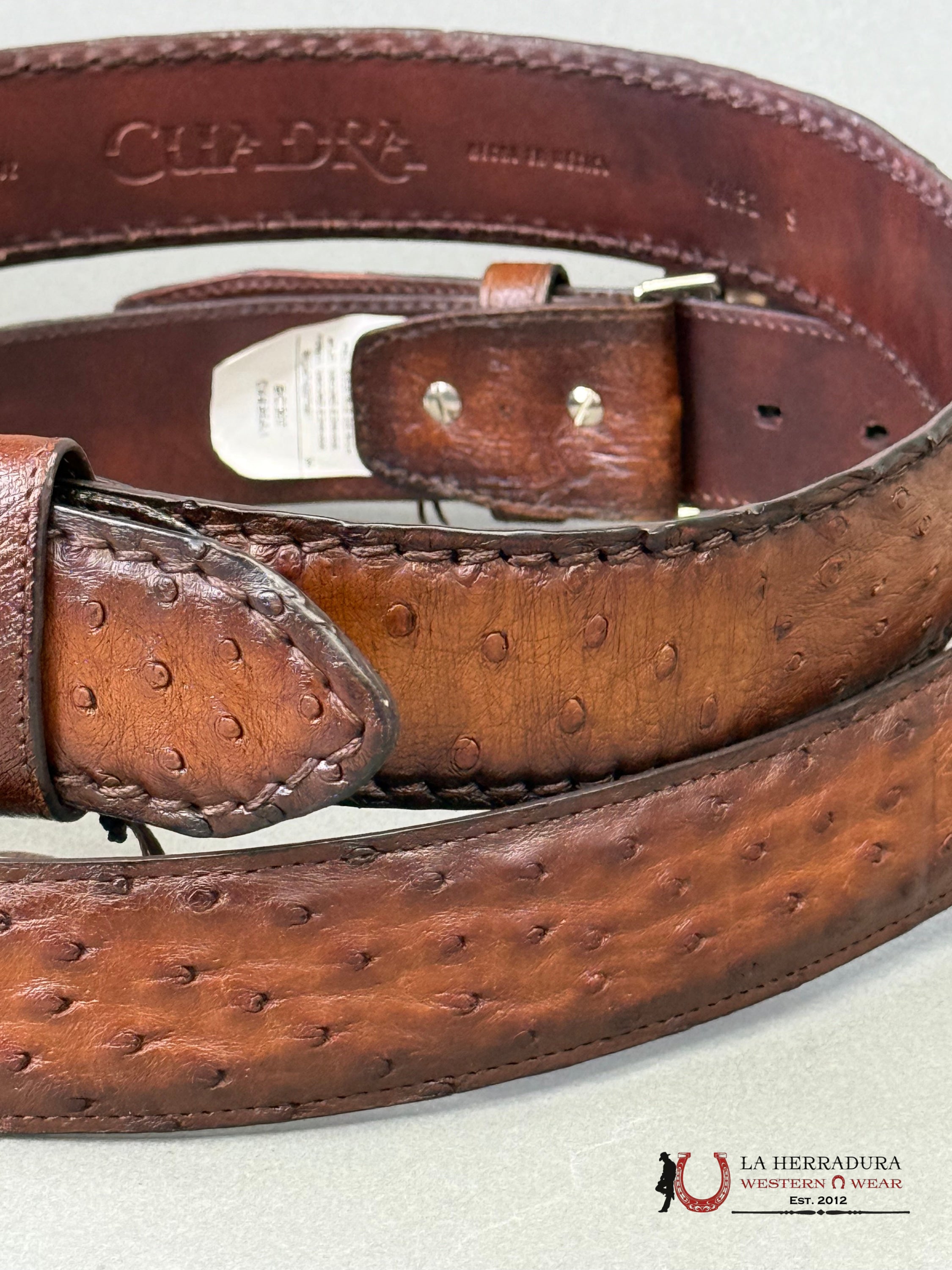 CUADRA BELT OSTRICH COMPLETE MORONI BROWN CASTAÑO CINTURONES HOMBRES