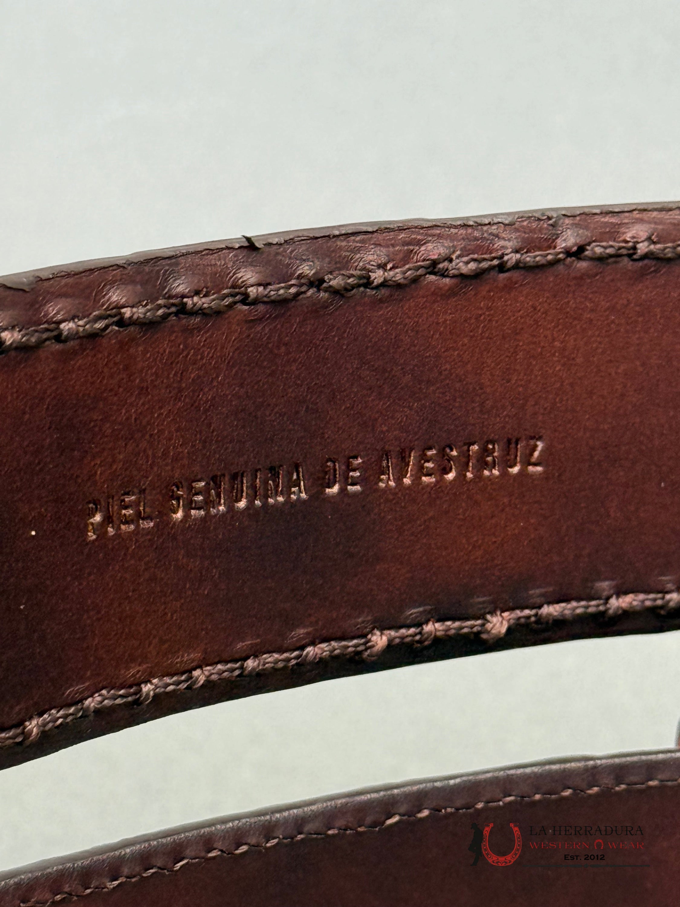 CUADRA BELT OSTRICH COMPLETE MORONI BROWN CASTAÑO CINTURONES HOMBRES