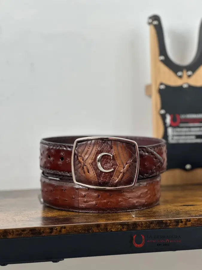 Cuadra Belt Ostrich Complete Moroni Brown Castaño Cinturones Hombres