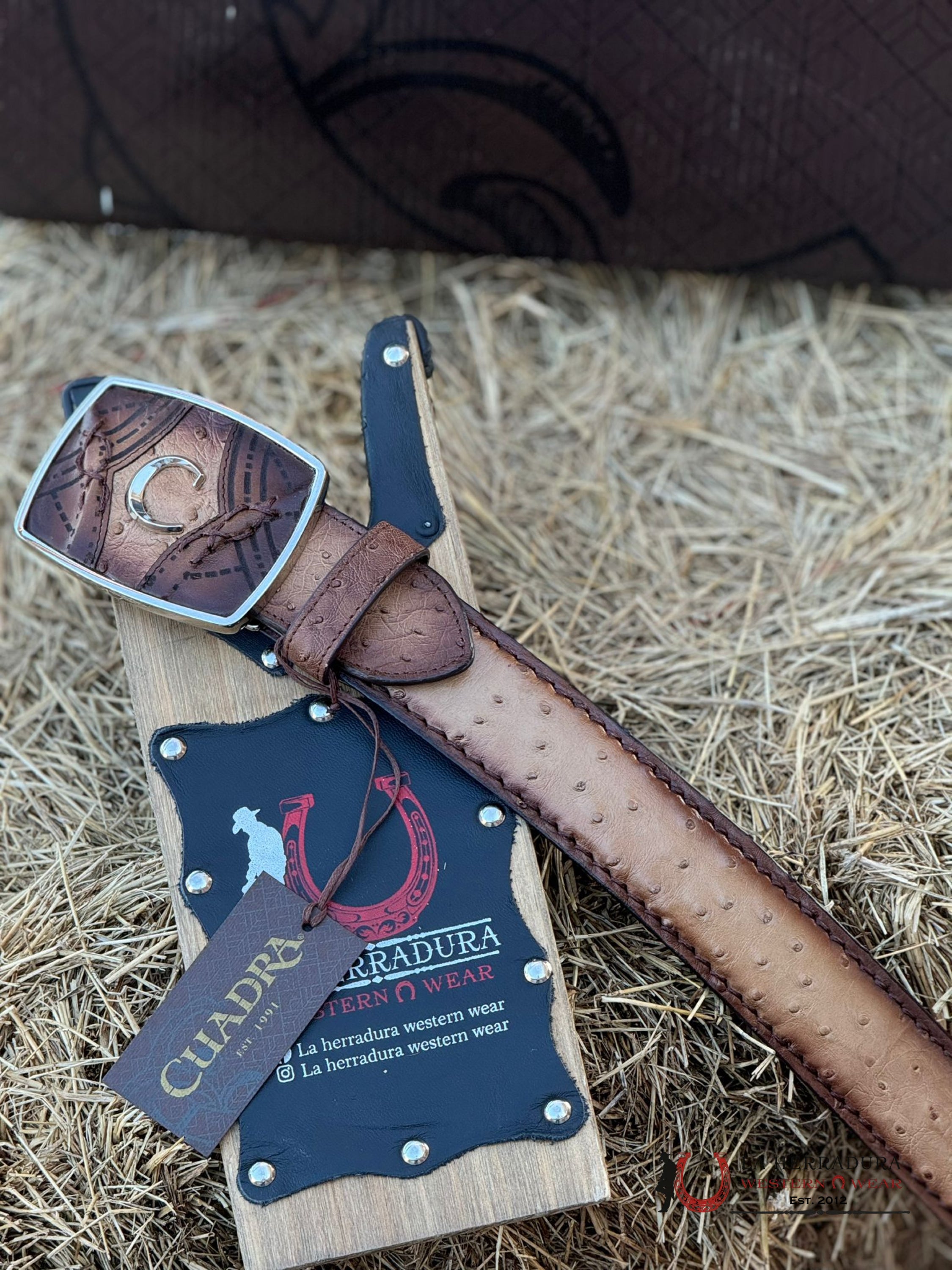 Cuadra Belt Ostrich Flame Orix Honey Complete Cinturones Hombres