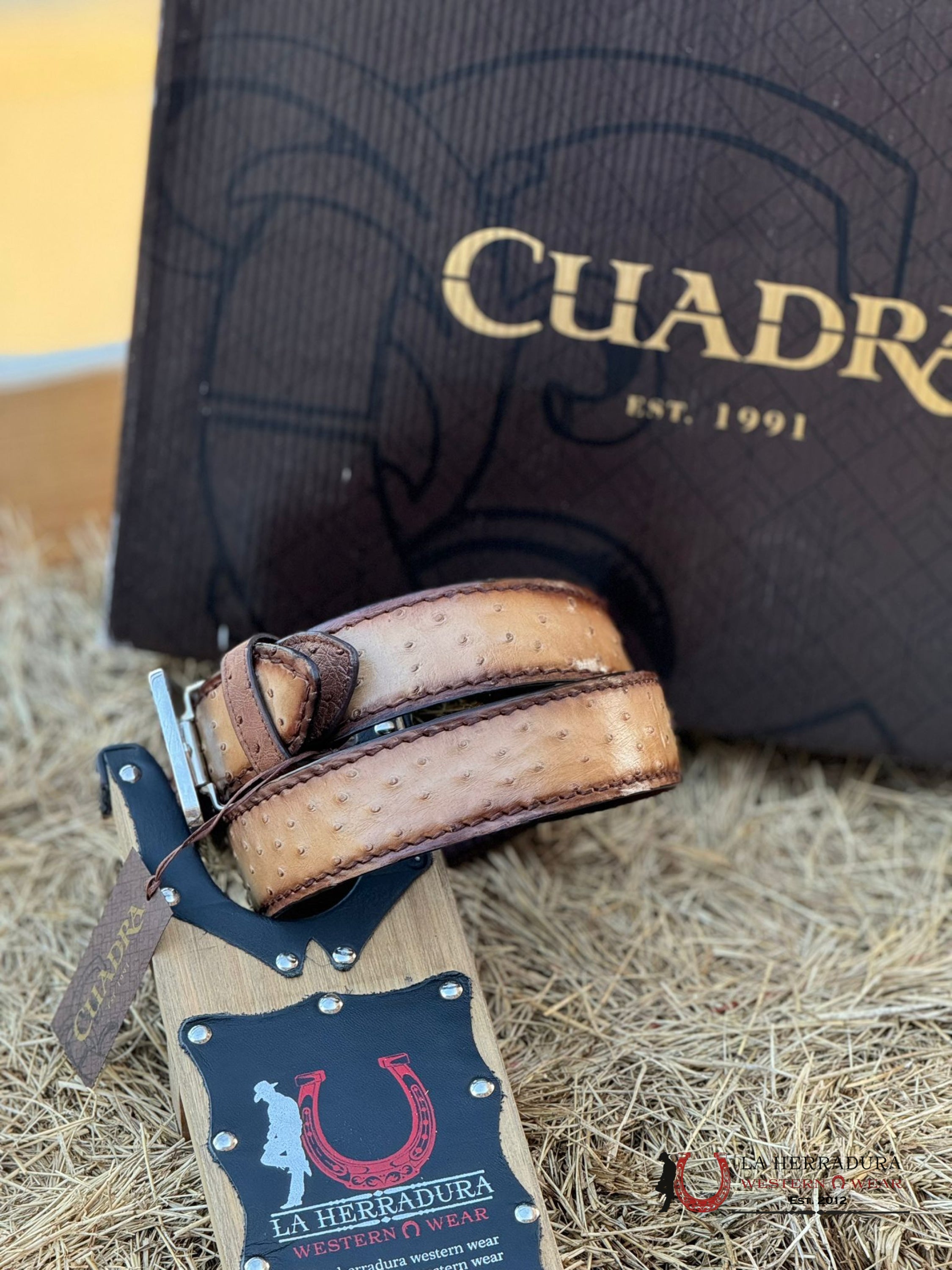 Cuadra Belt Ostrich Flame Orix Honey Complete Cinturones Hombres
