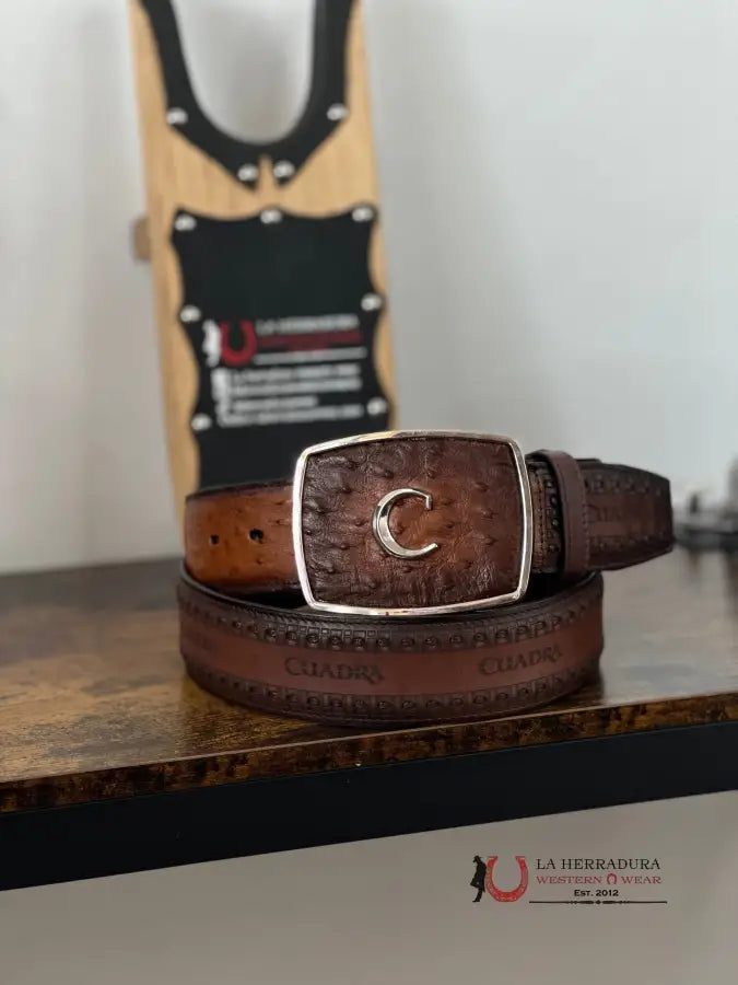 Cuadra Belt Ostrich Maroni Chestnut Cinturones Hombres