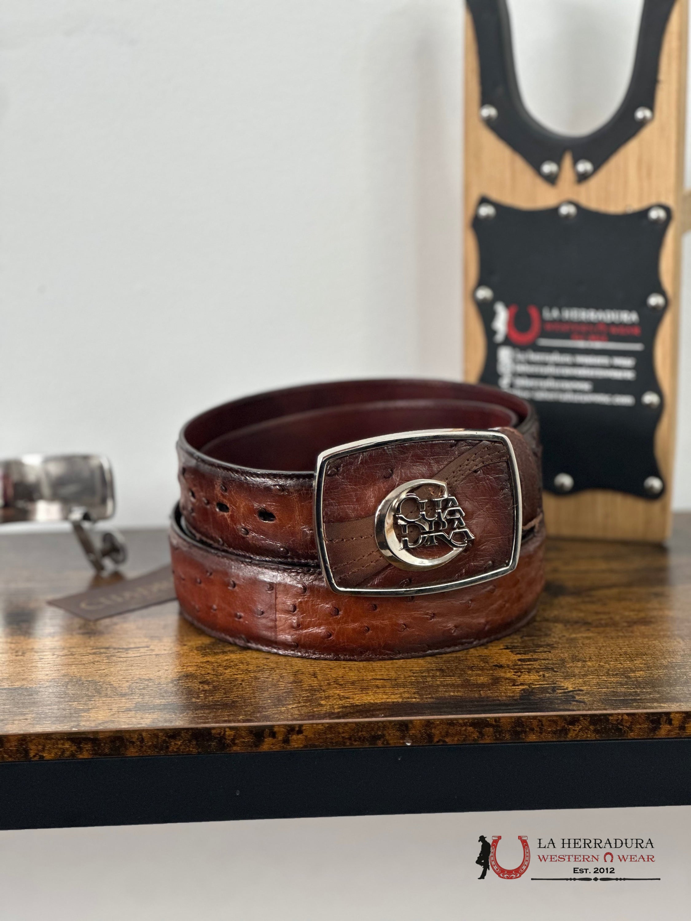 Cuadra Belt Ostrich Moroni Chestnut Castano Avestruz Cinturones Hombres