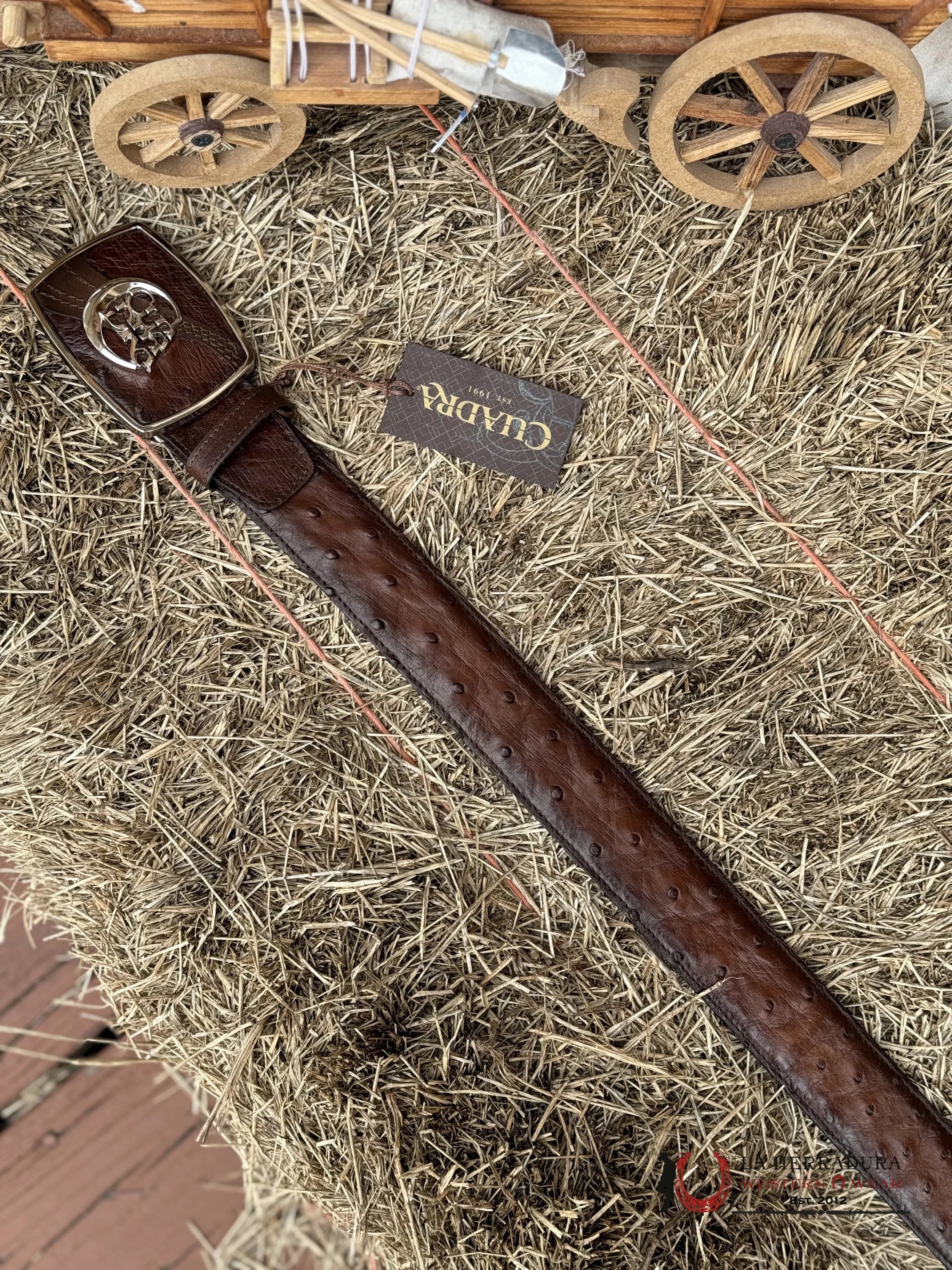 Cuadra Belt Ostrich Moroni Chestnut Castano Avestruz Cinturones Hombres