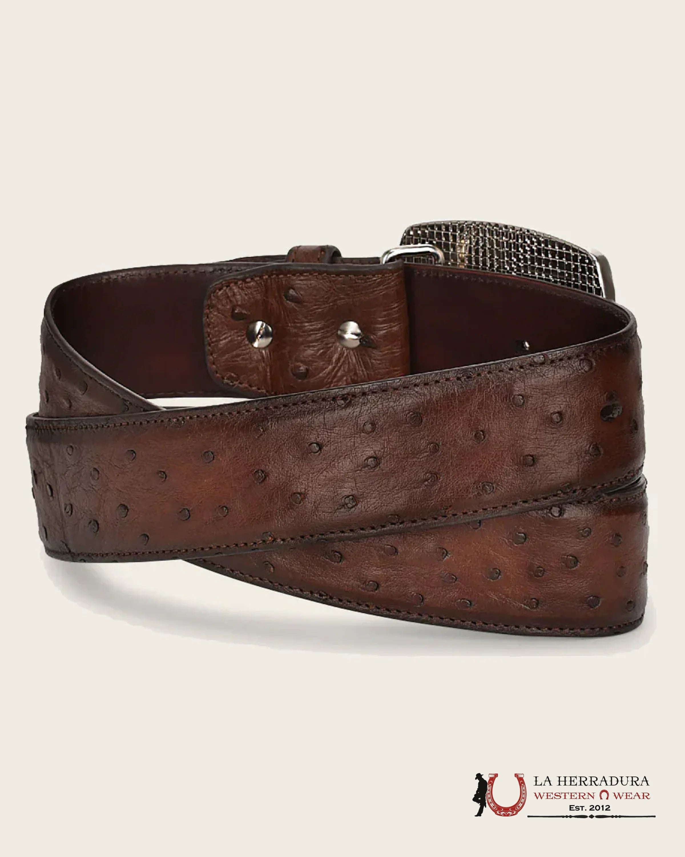 CUADRA BELT OSTRICH MORONI CHESTNUT CASTANO AVESTRUZ CINTURONES HOMBRES